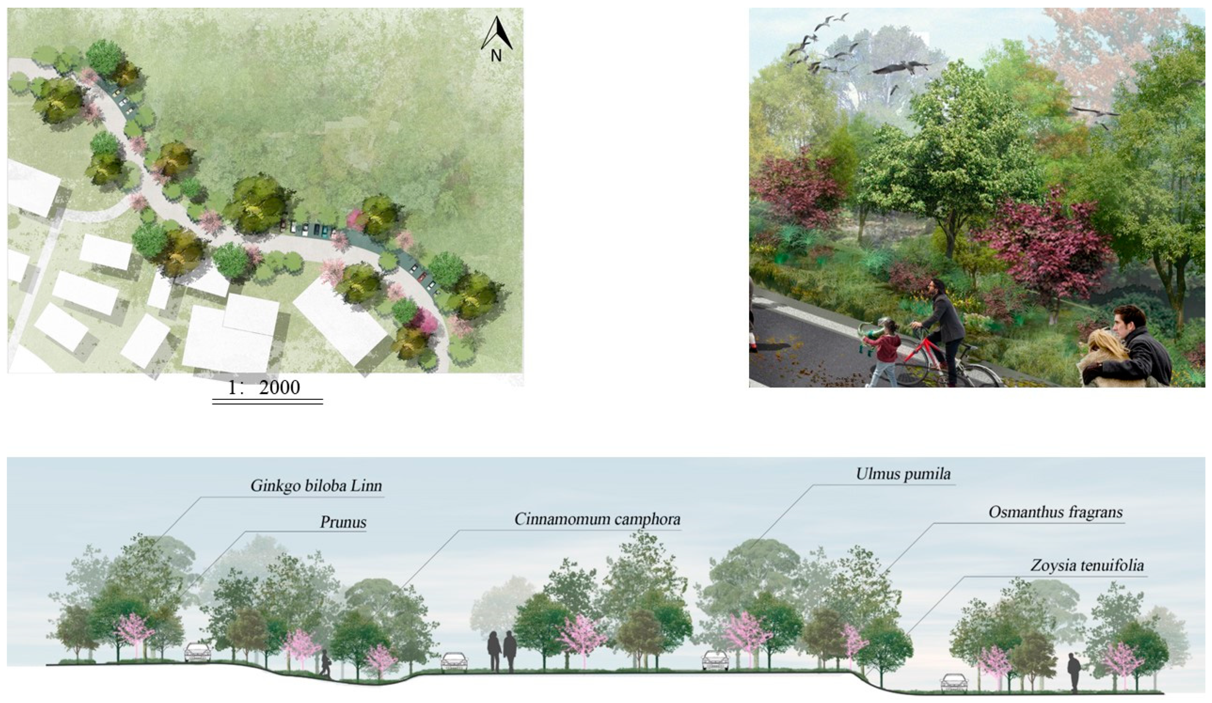 Forests 15 00315 g011