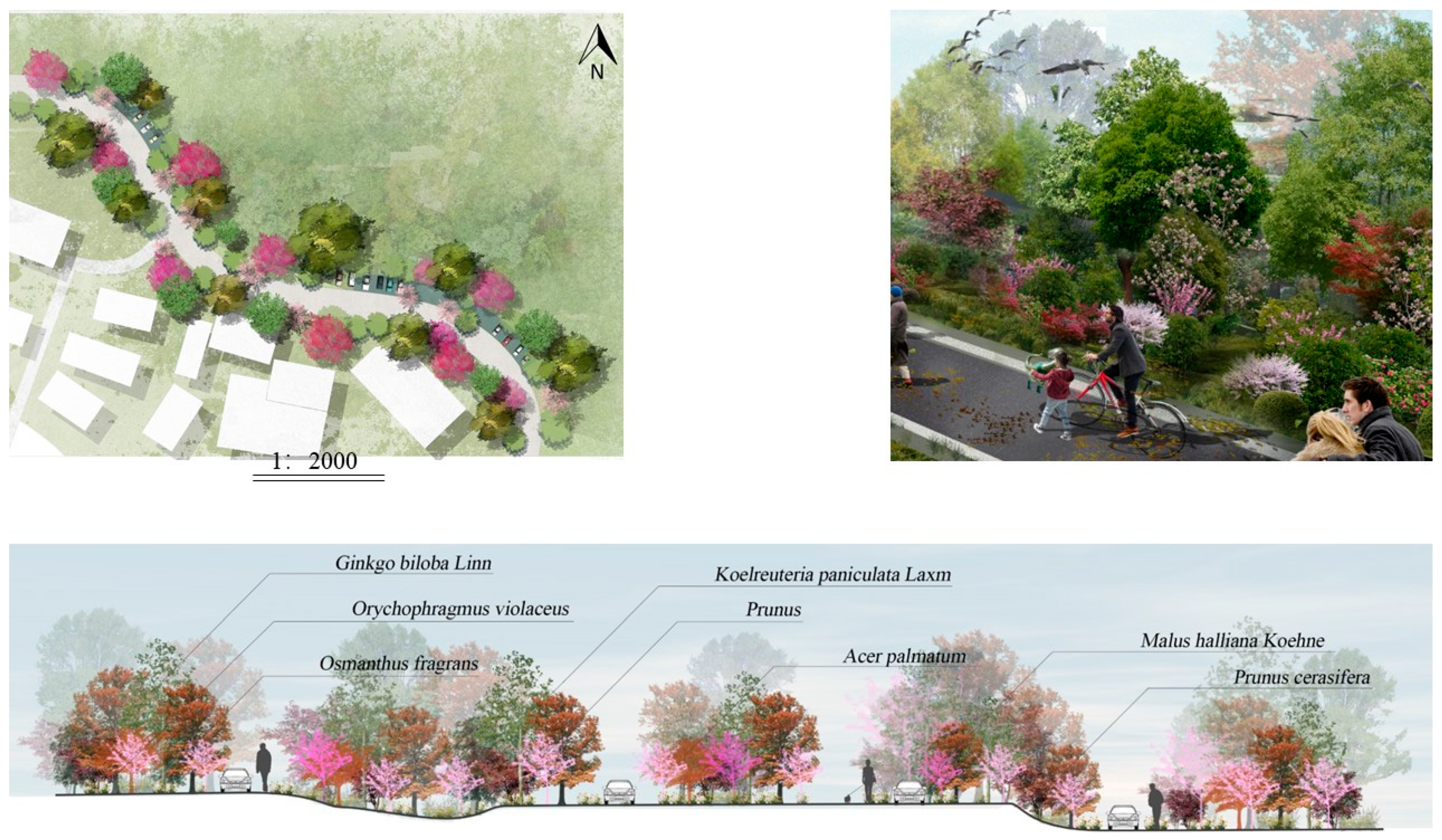 Forests 15 00315 g012
