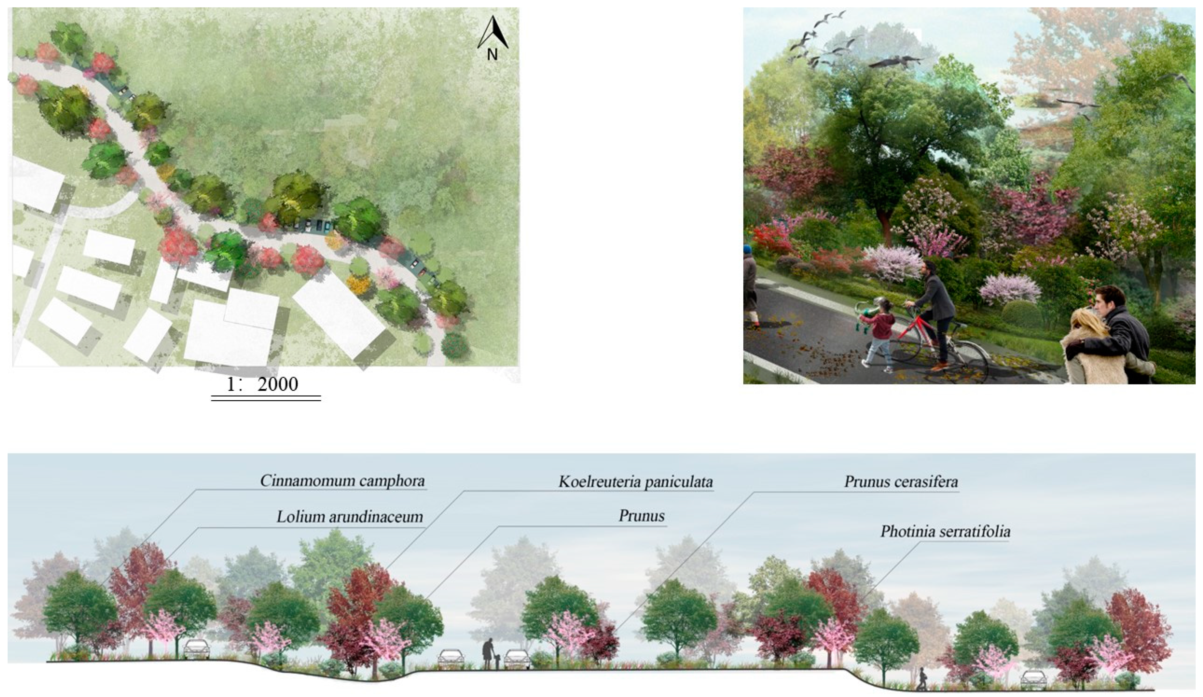 Forests 15 00315 g013