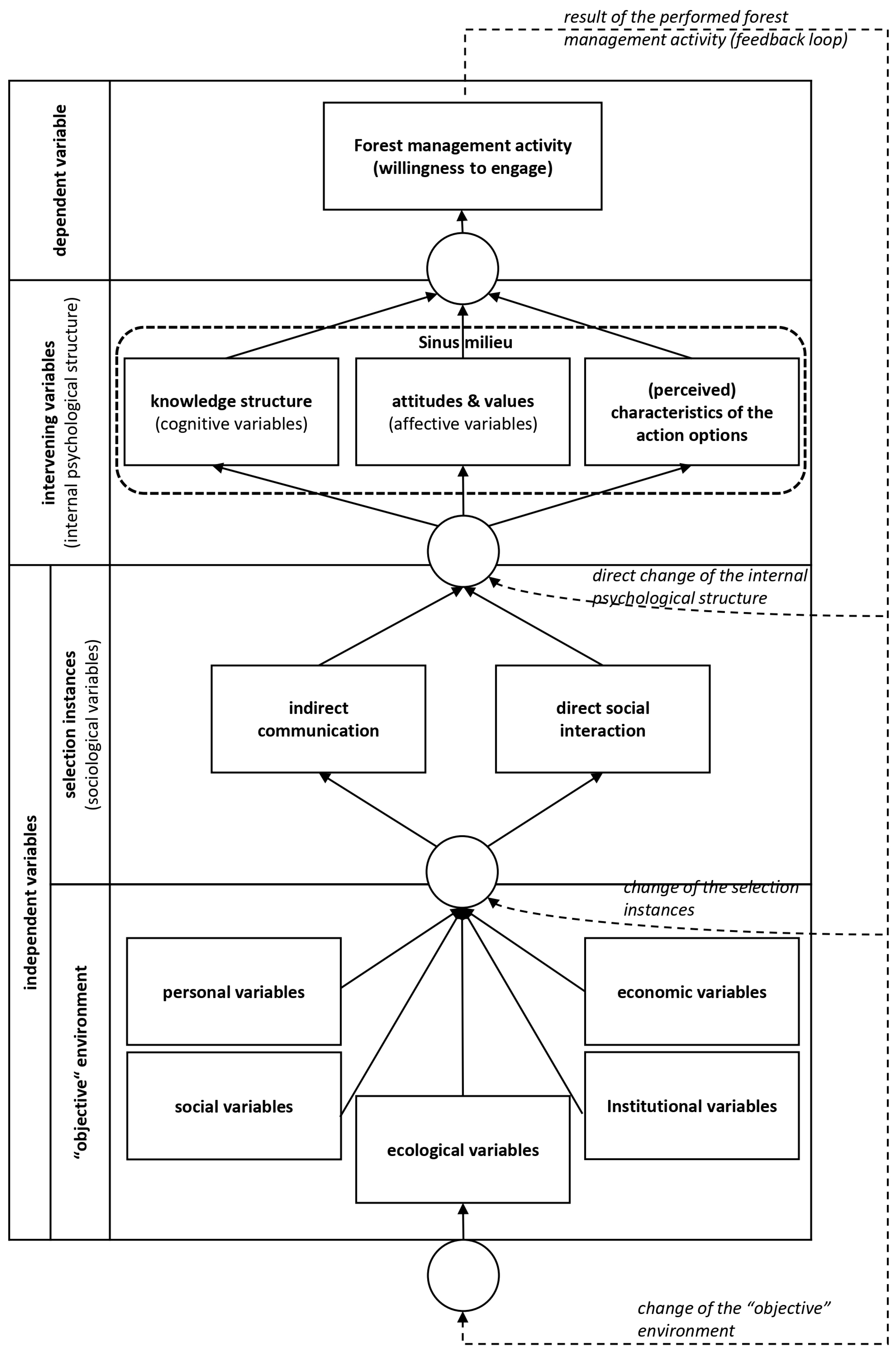Forests 15 00319 g001