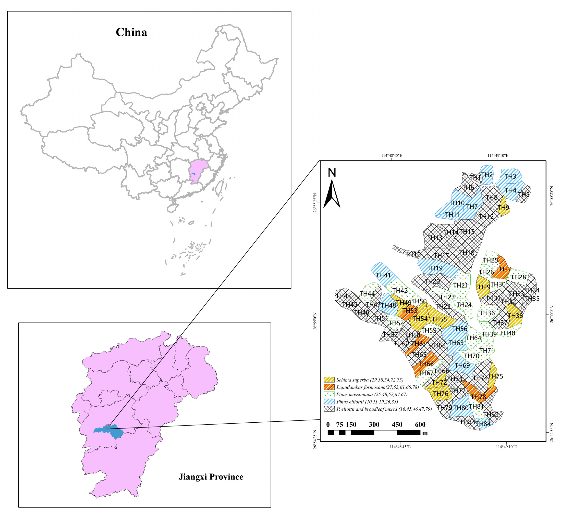 Forests 15 00320 g001