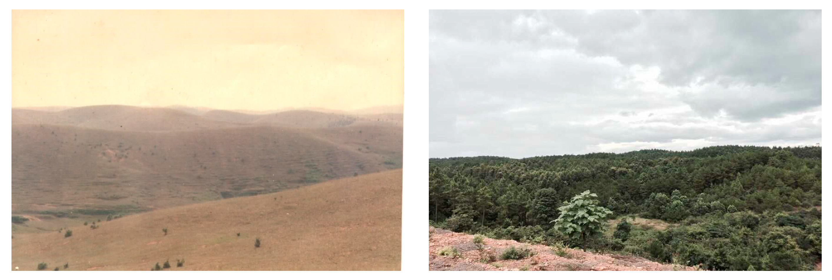 Forests 15 00320 g002