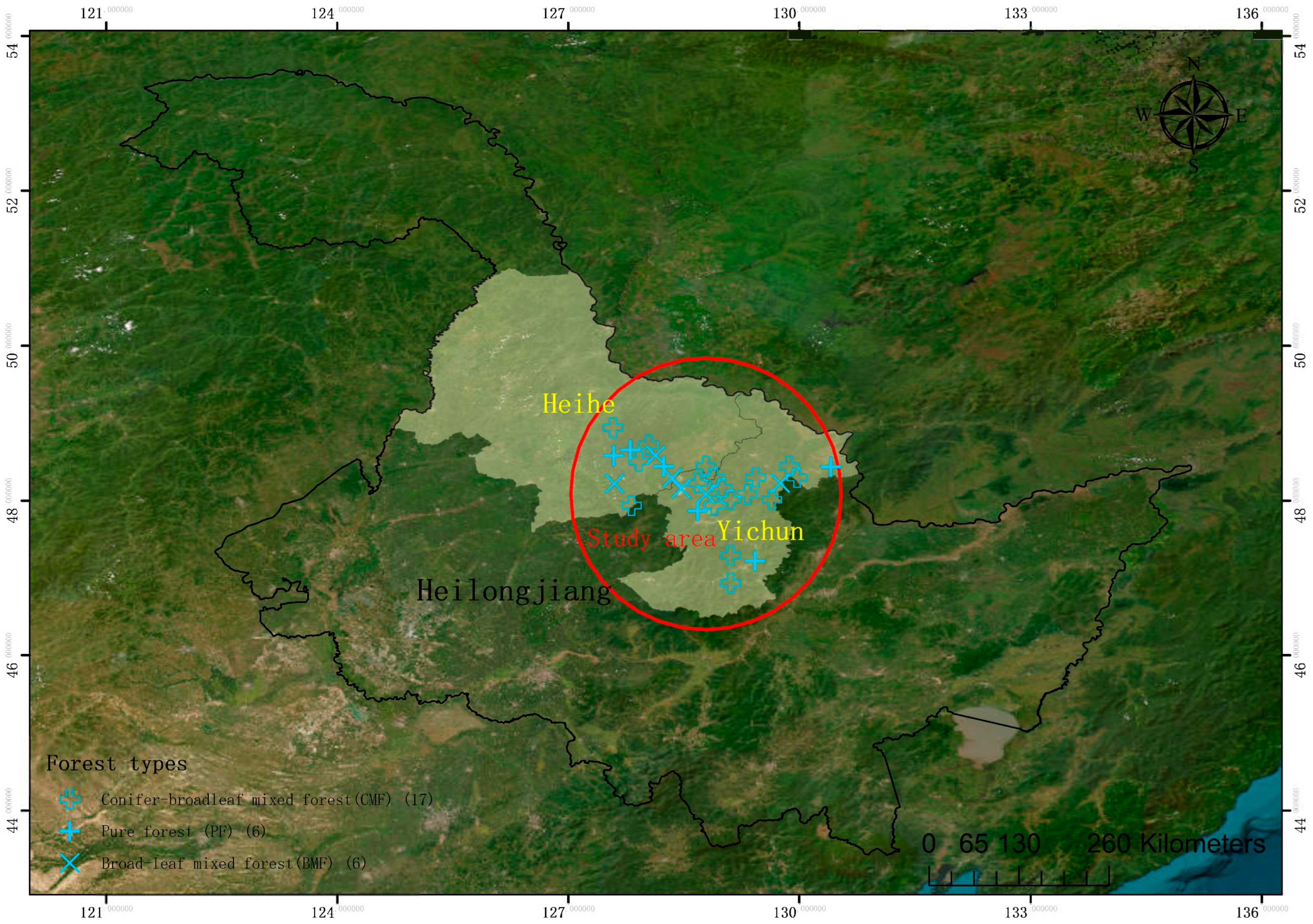 Forests 15 00322 g001