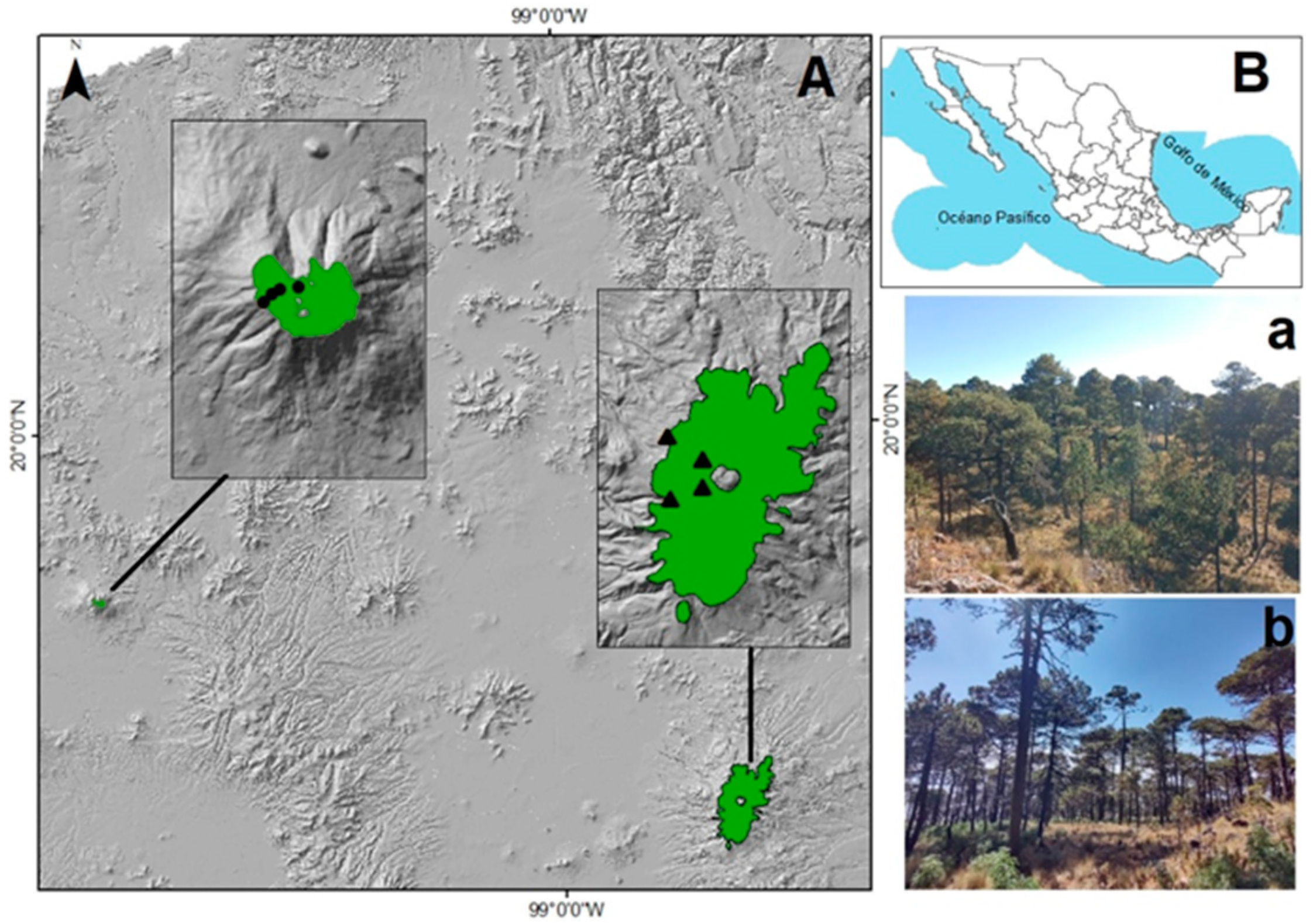 Forests 15 00324 g001
