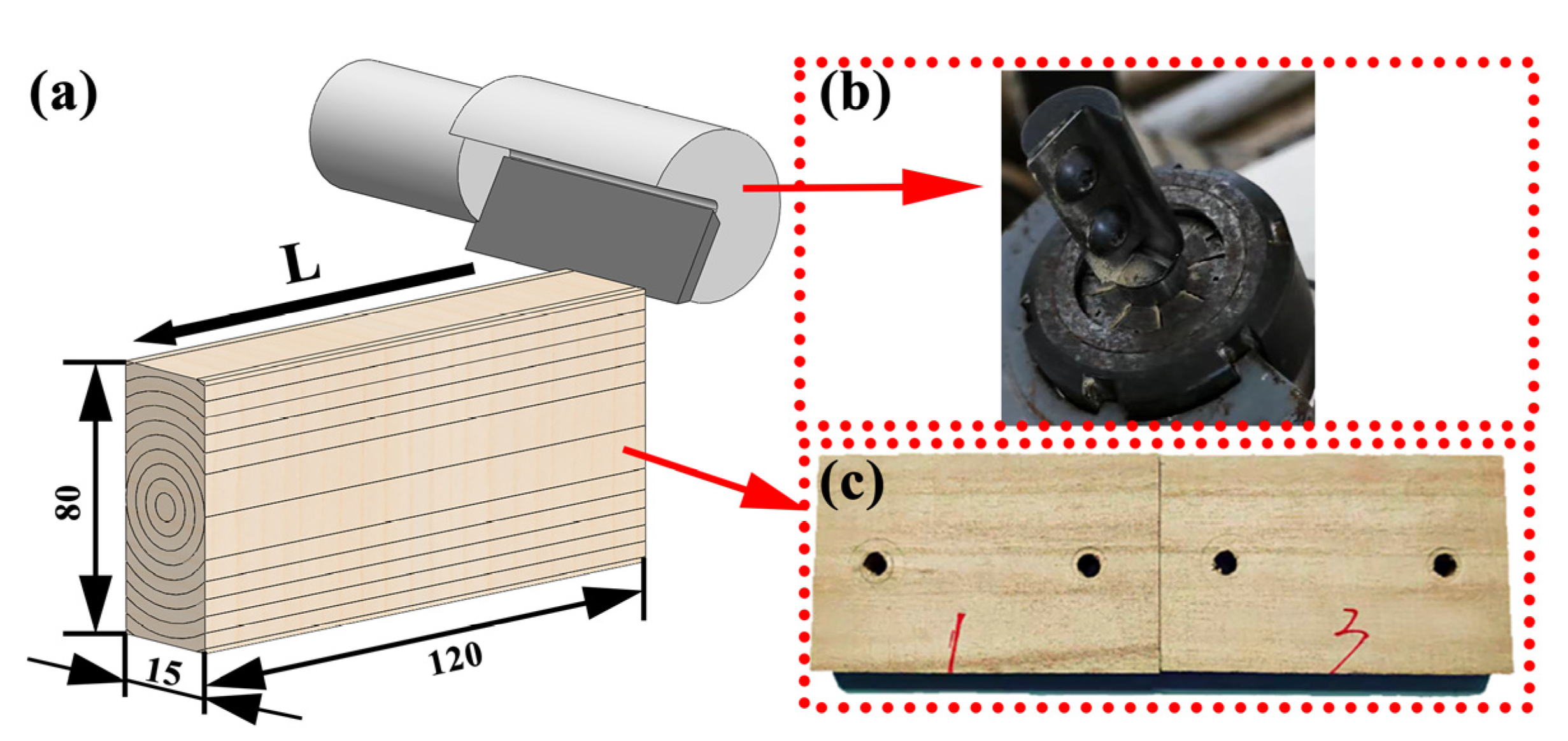 Forests 15 00325 g001
