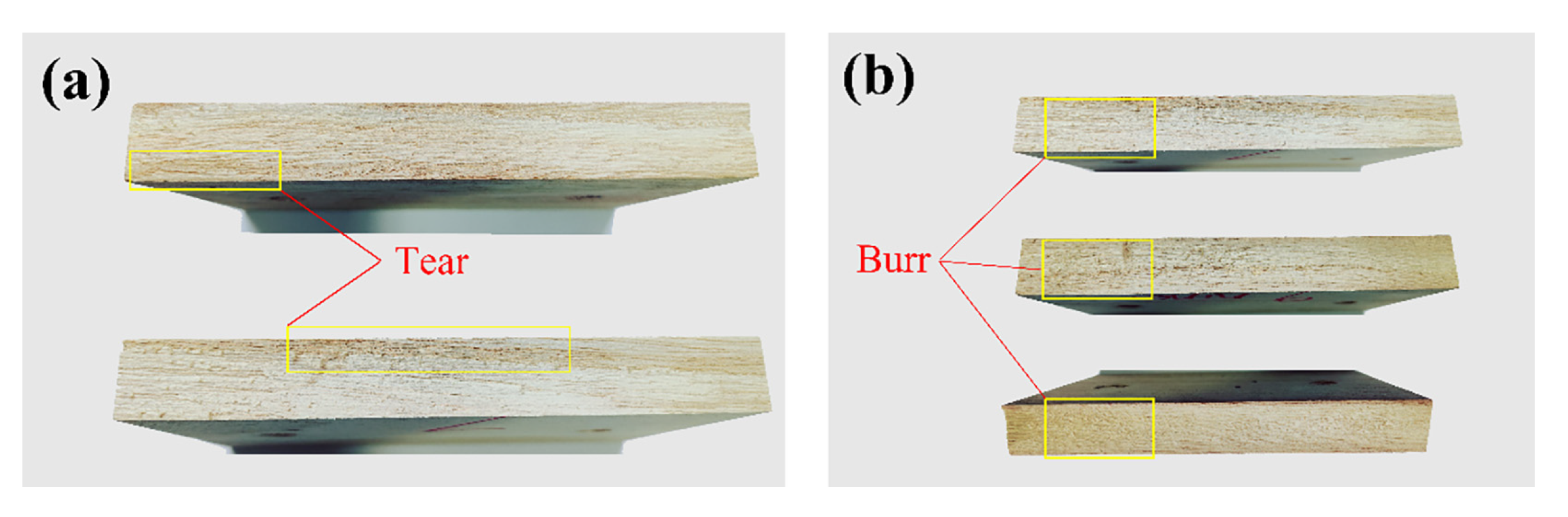 Forests 15 00325 g009