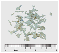 Forests 15 00325 i001