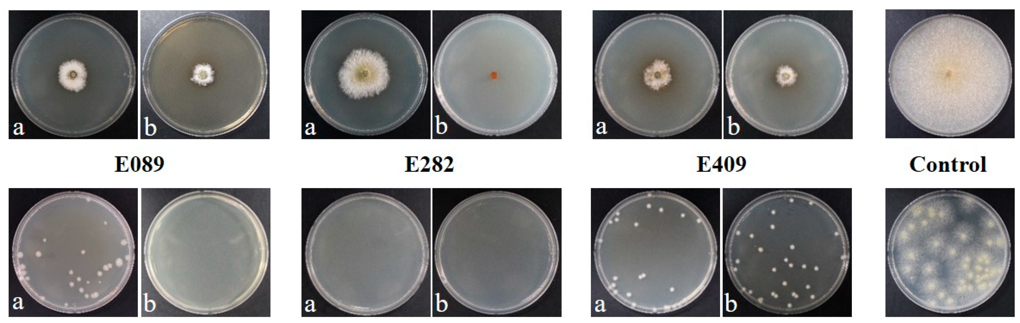 Forests 15 00332 g003