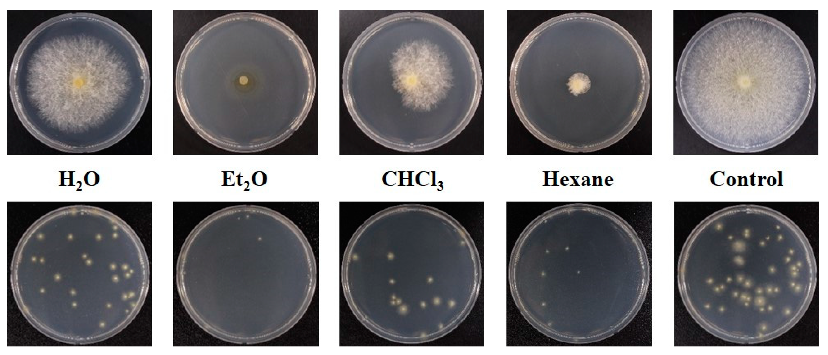 Forests 15 00332 g007