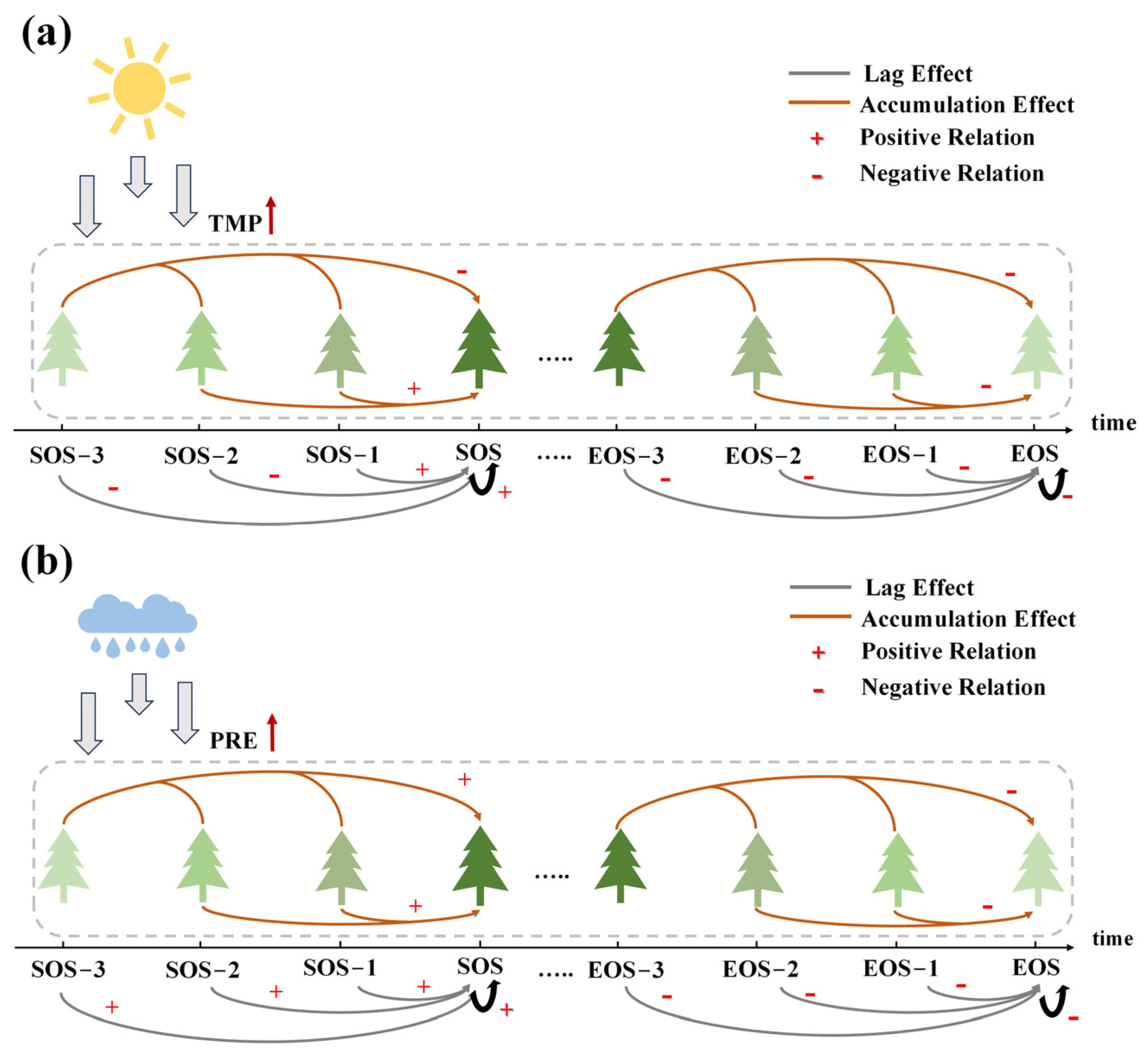Forests 15 00334 g012
