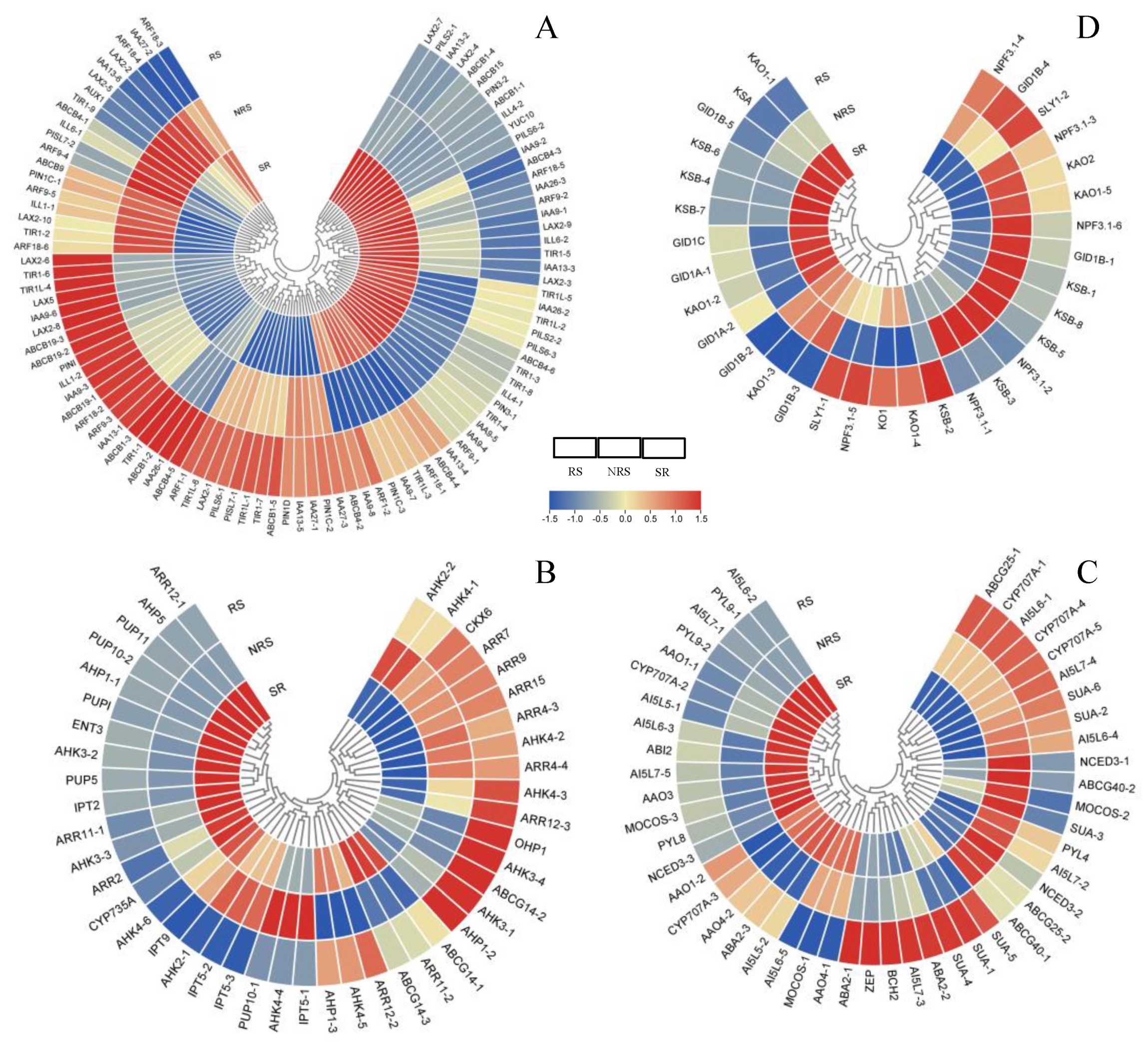 Forests 15 00335 g003 Forests 15 00335 g003