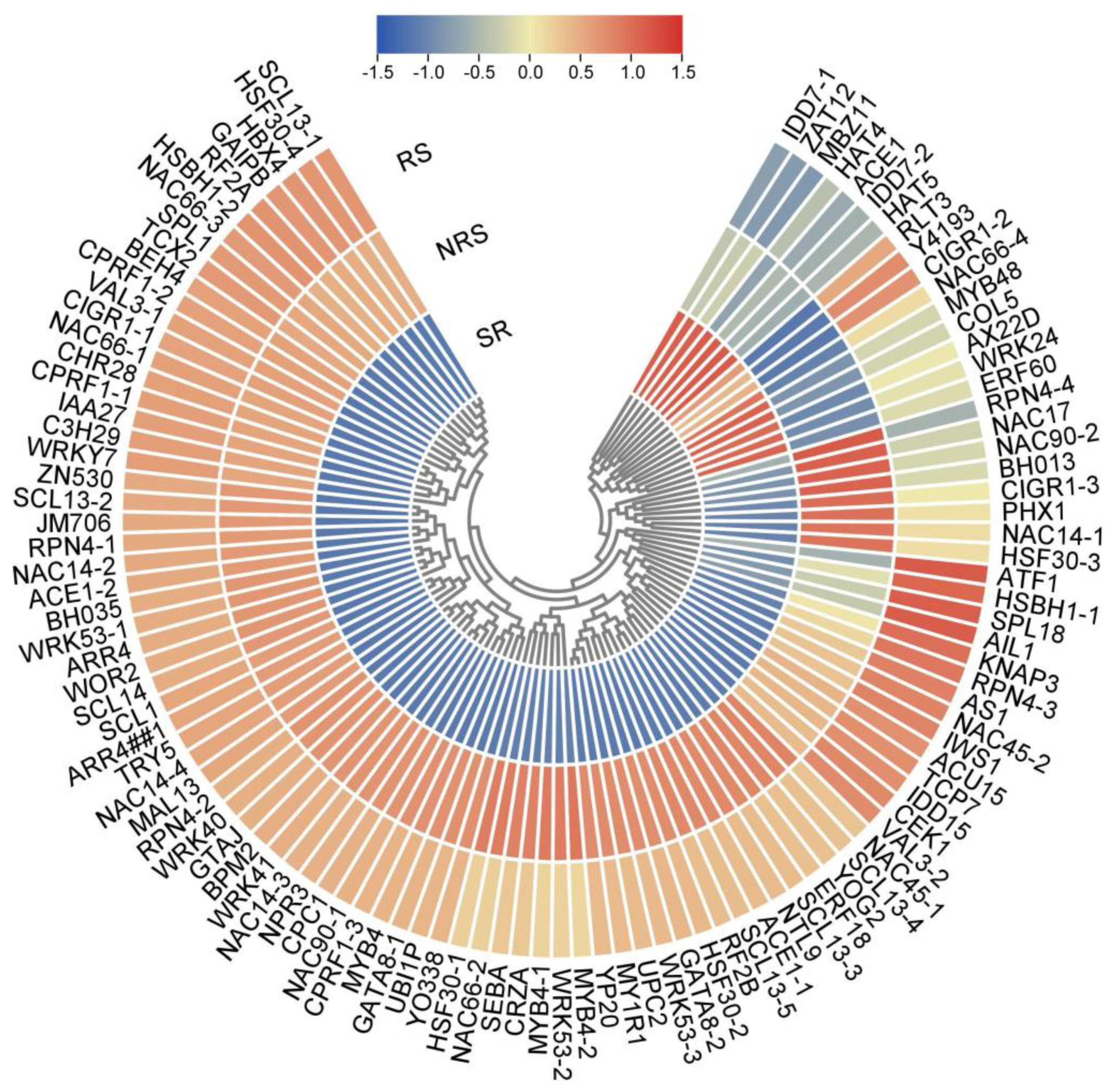 Forests 15 00335 g005 Forests 15 00335 g005