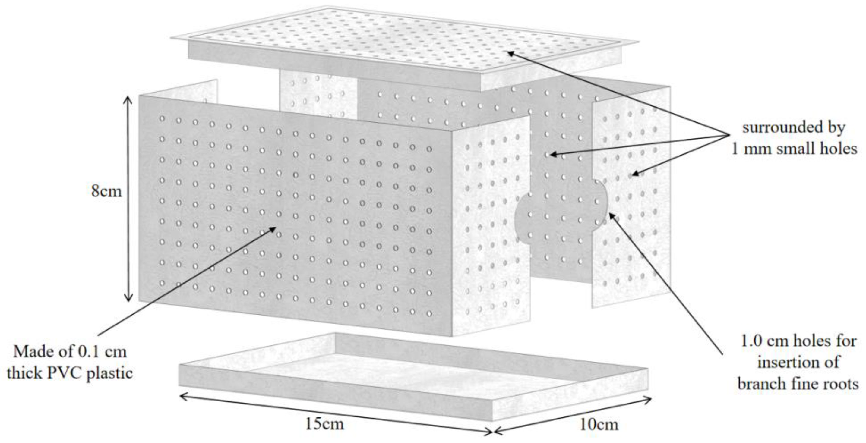 Forests 15 00336 g001 Forests 15 00336 g001
