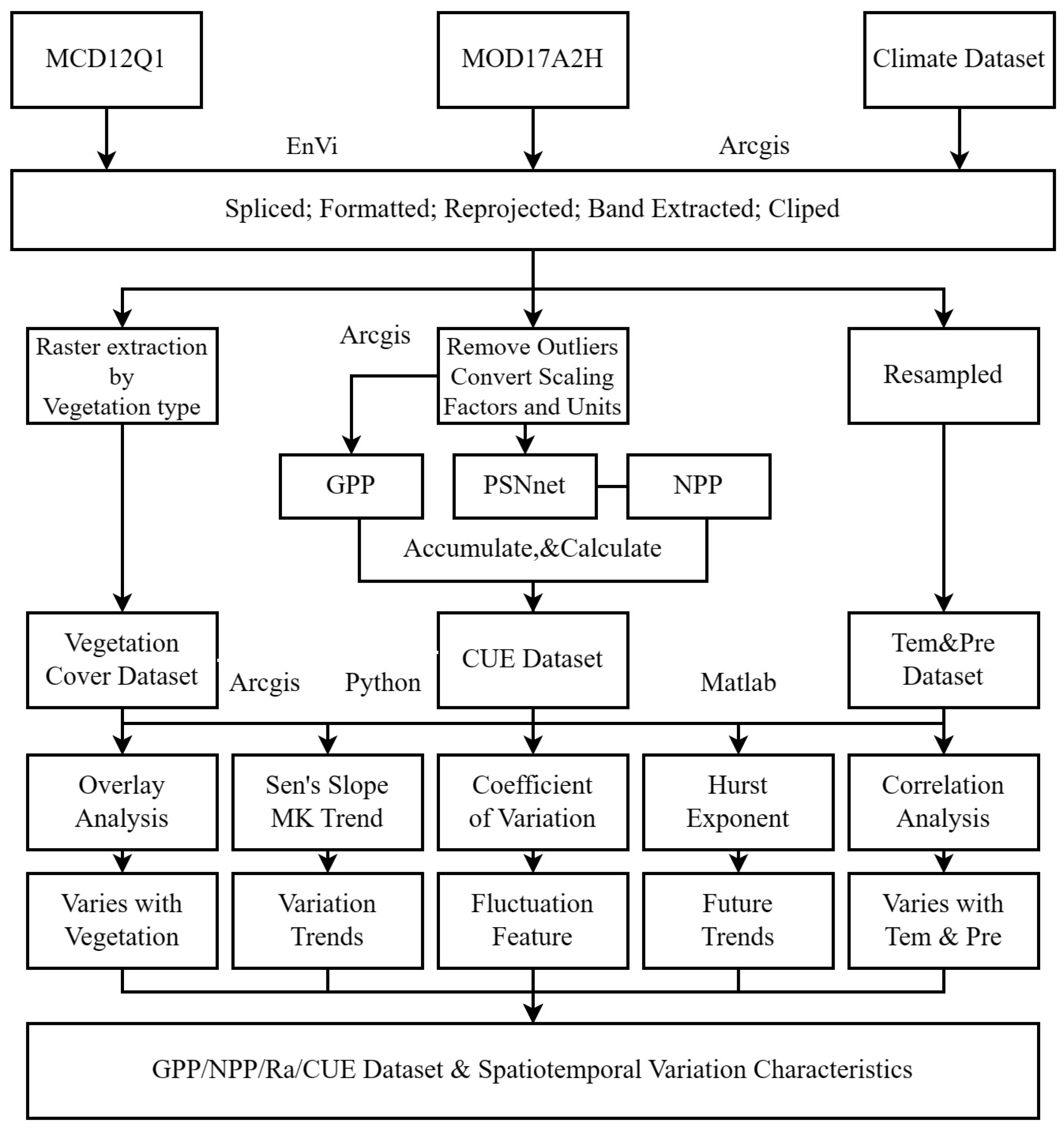 Temporal and Spatial Dynamics in Carbon Utilization Efficiency and 