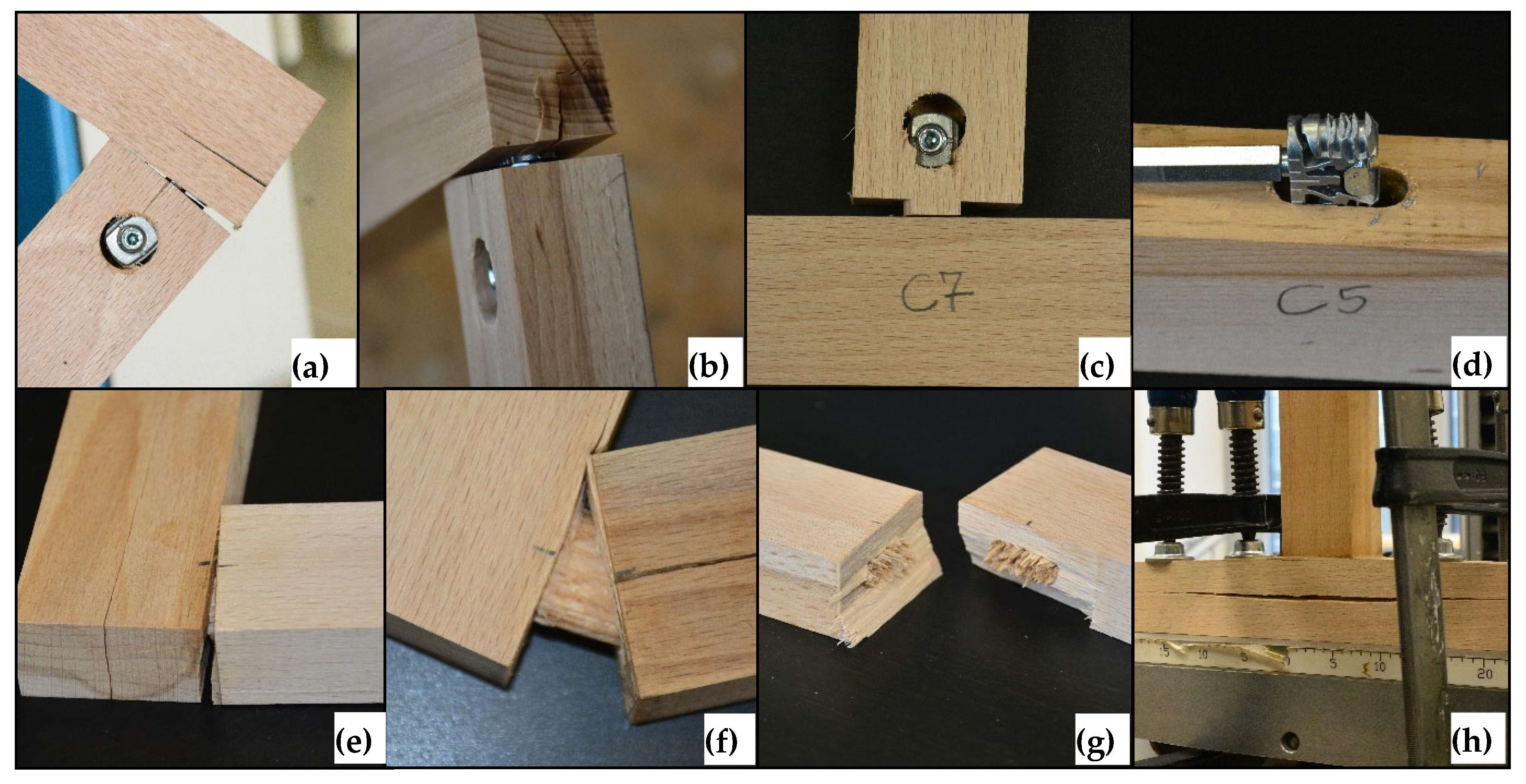Forests 15 00343 g008