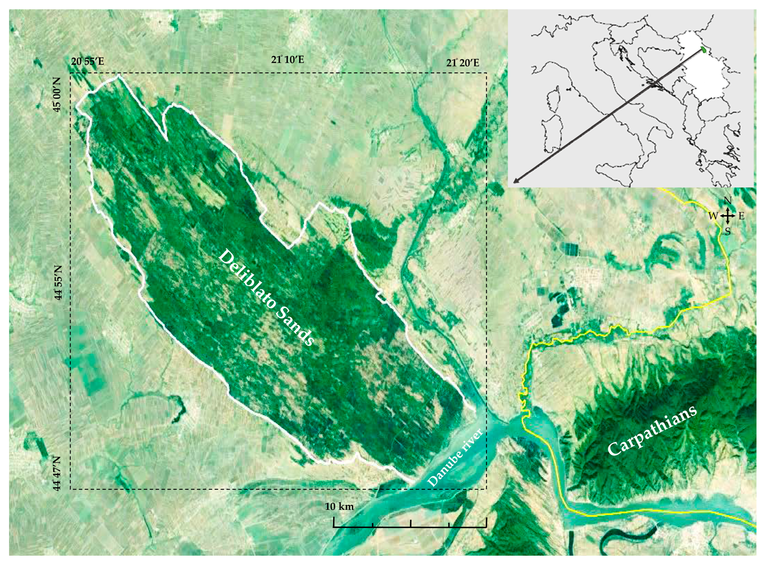 Forests 15 00347 g001 Forests 15 00347 g001