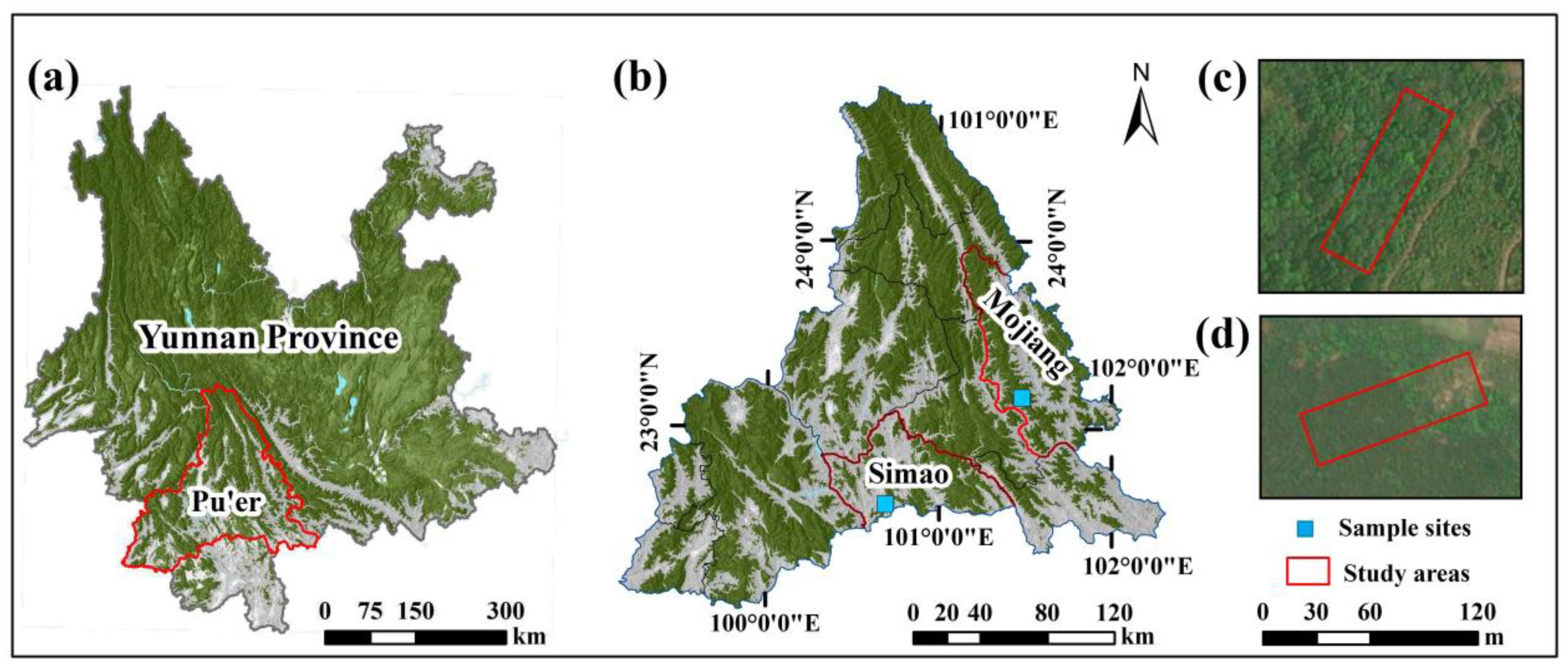 Forests 15 00349 g001
