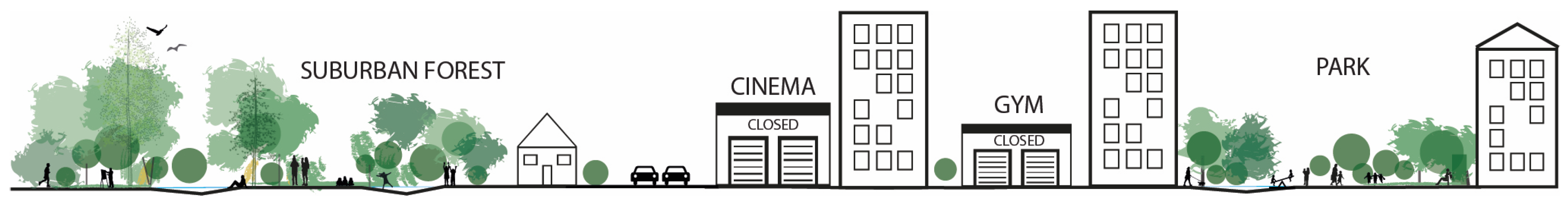 Forests 15 00354 g005