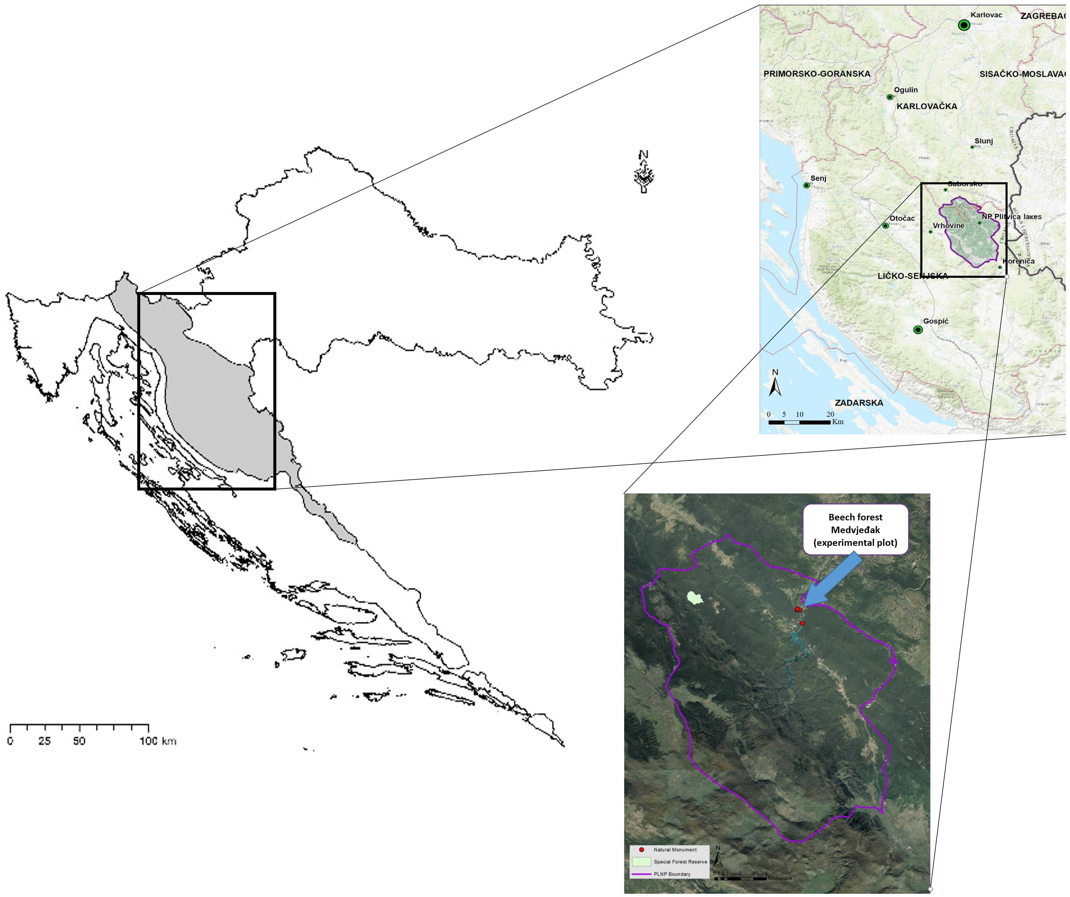 Forests 15 00357 g001