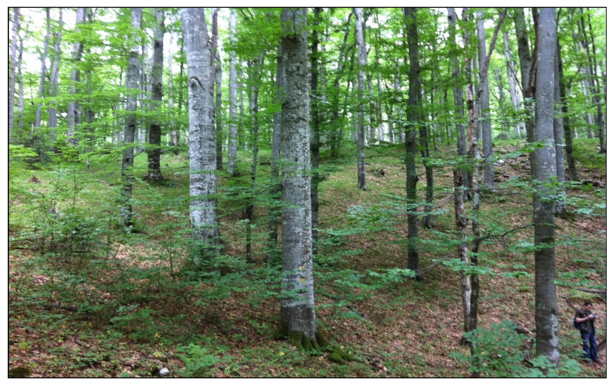 Forests 15 00357 g002