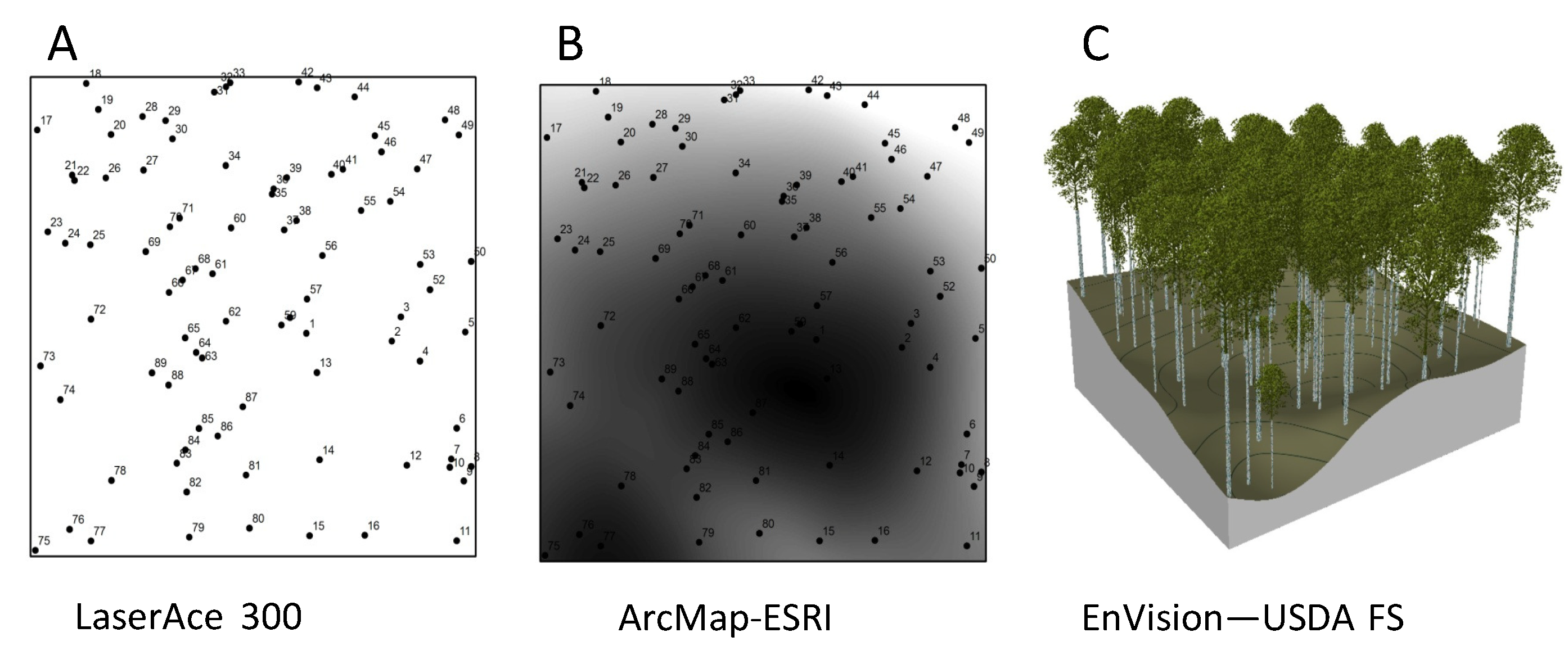 Forests 15 00357 g003