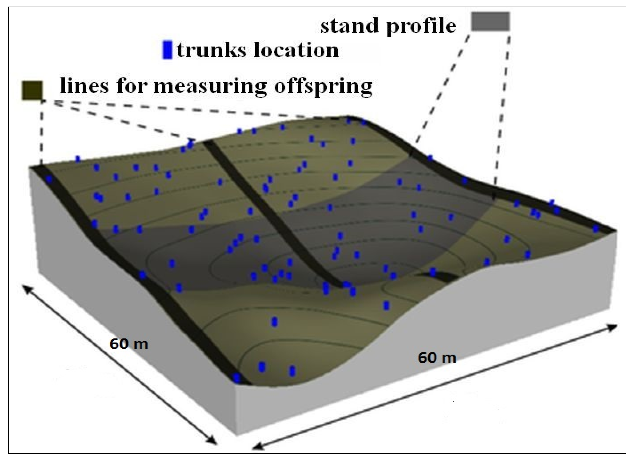 Forests 15 00357 g004