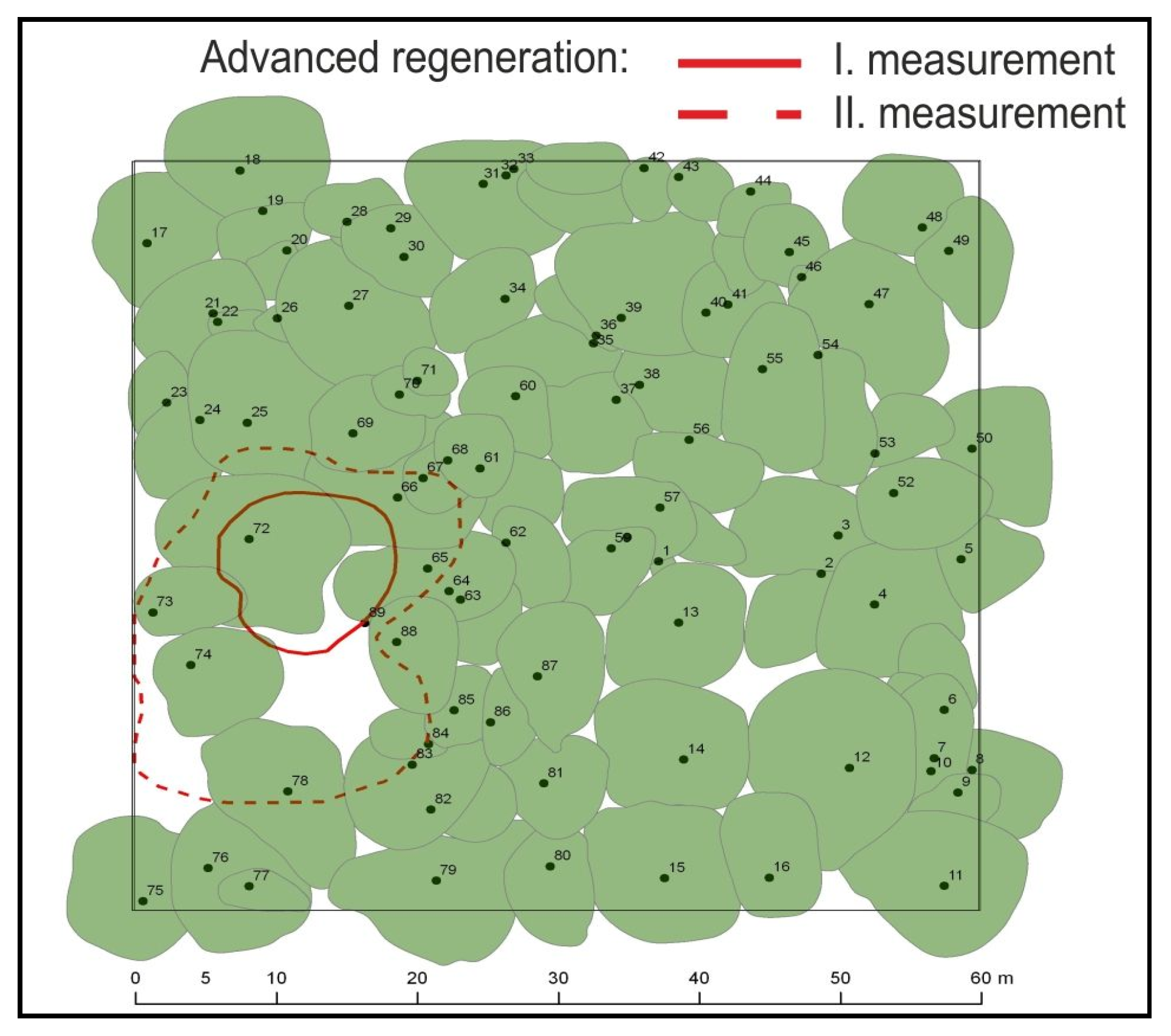 Forests 15 00357 g008