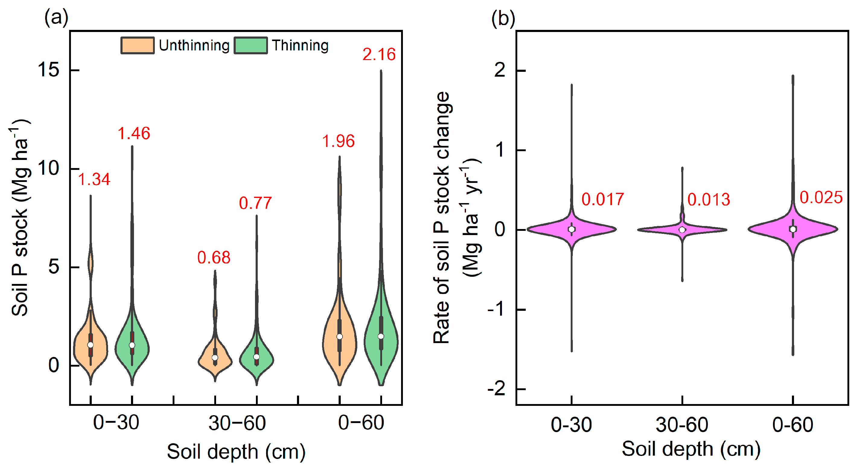 Effect of Forest Thinning on Soil Phosphorus Stocks and