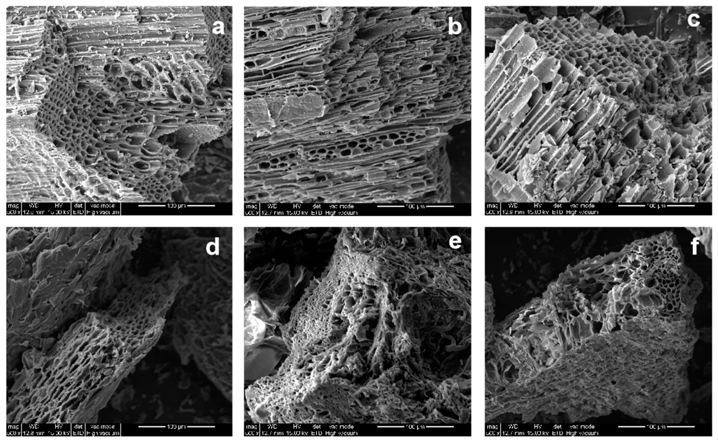 Forests 15 00366 g002