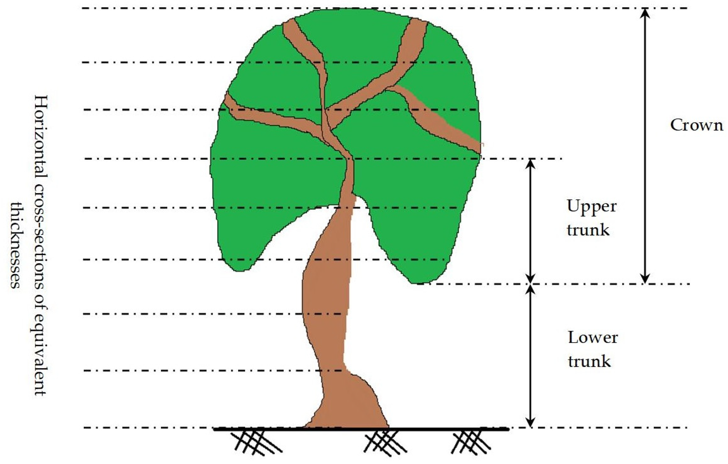 Forests 15 00368 g007