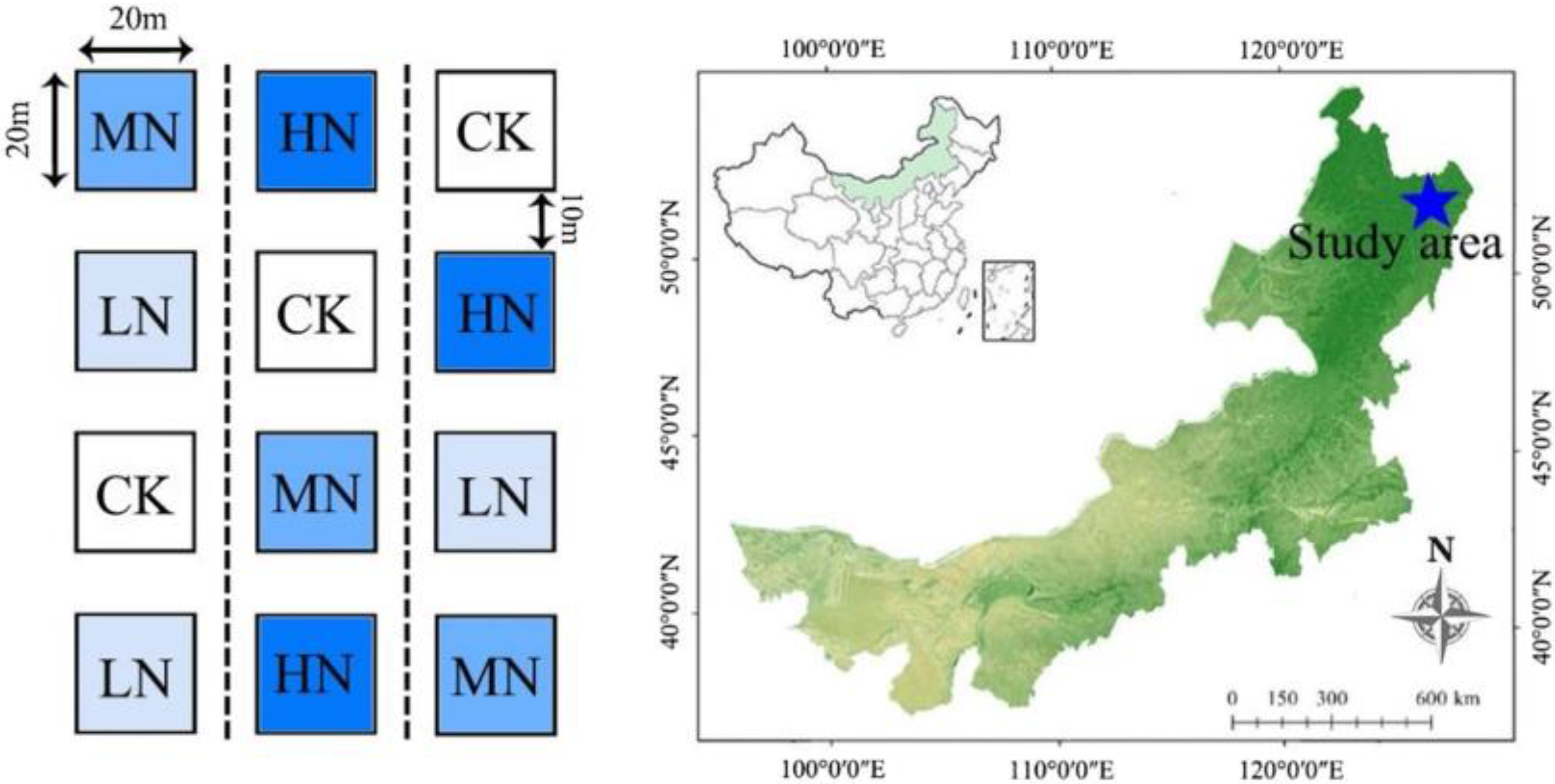 Forests 15 00372 g001