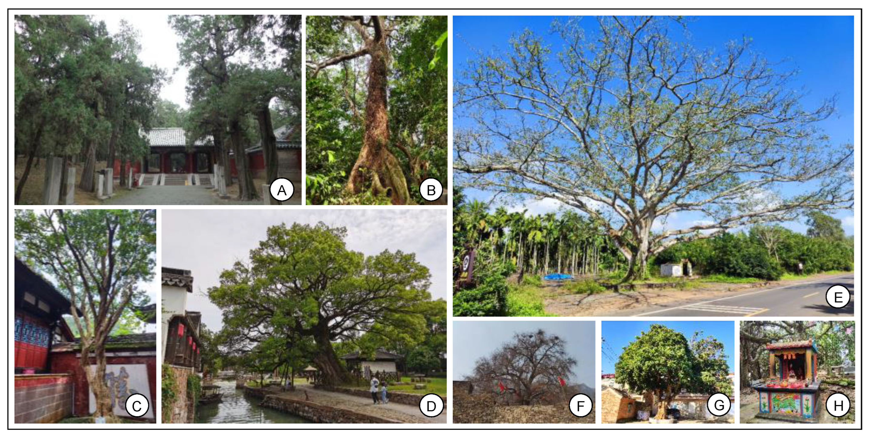 Forests 15 00373 g001