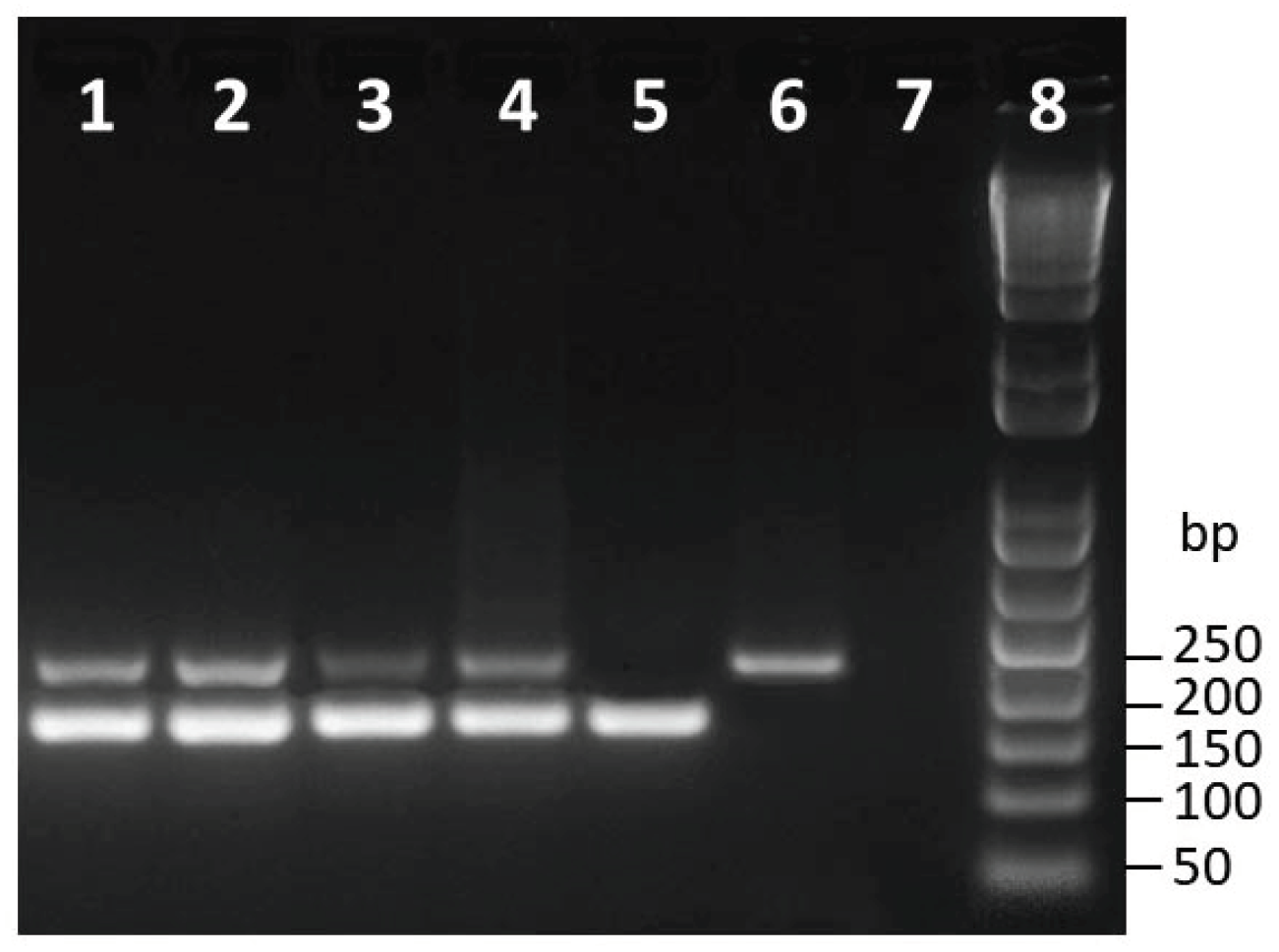 Forests 15 00375 g002 Forests 15 00375 g002