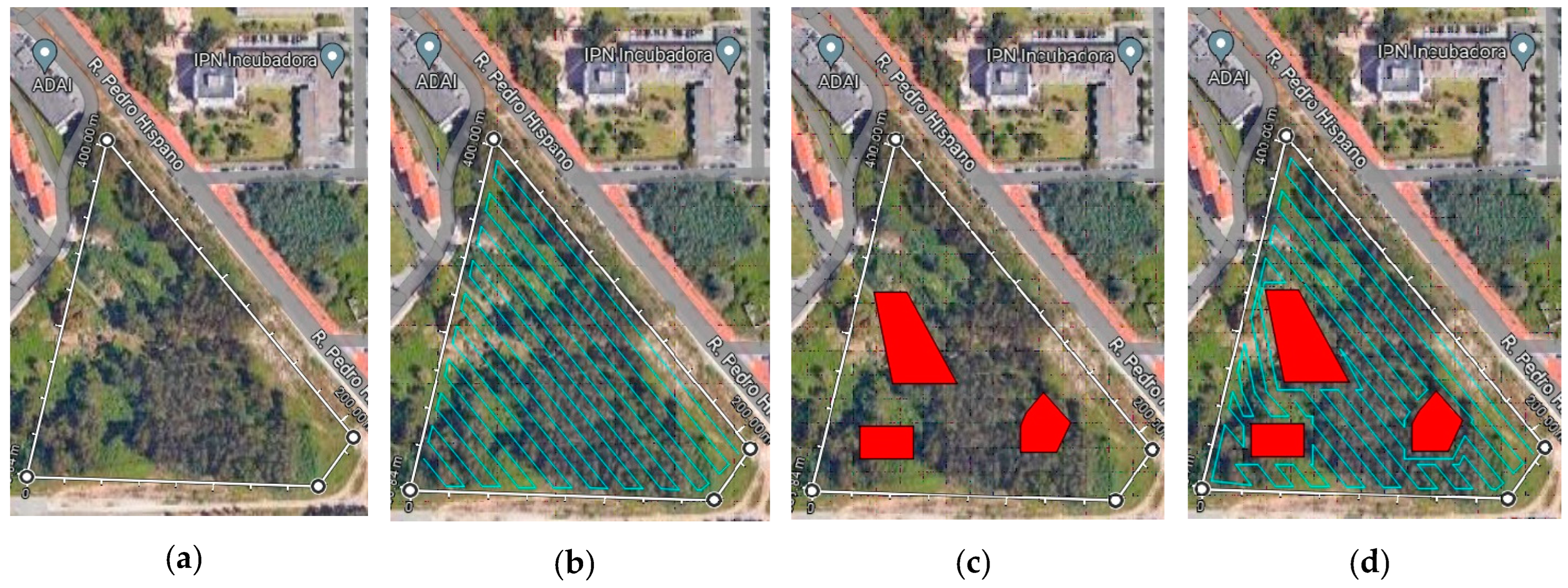 Forests 15 00381 g004