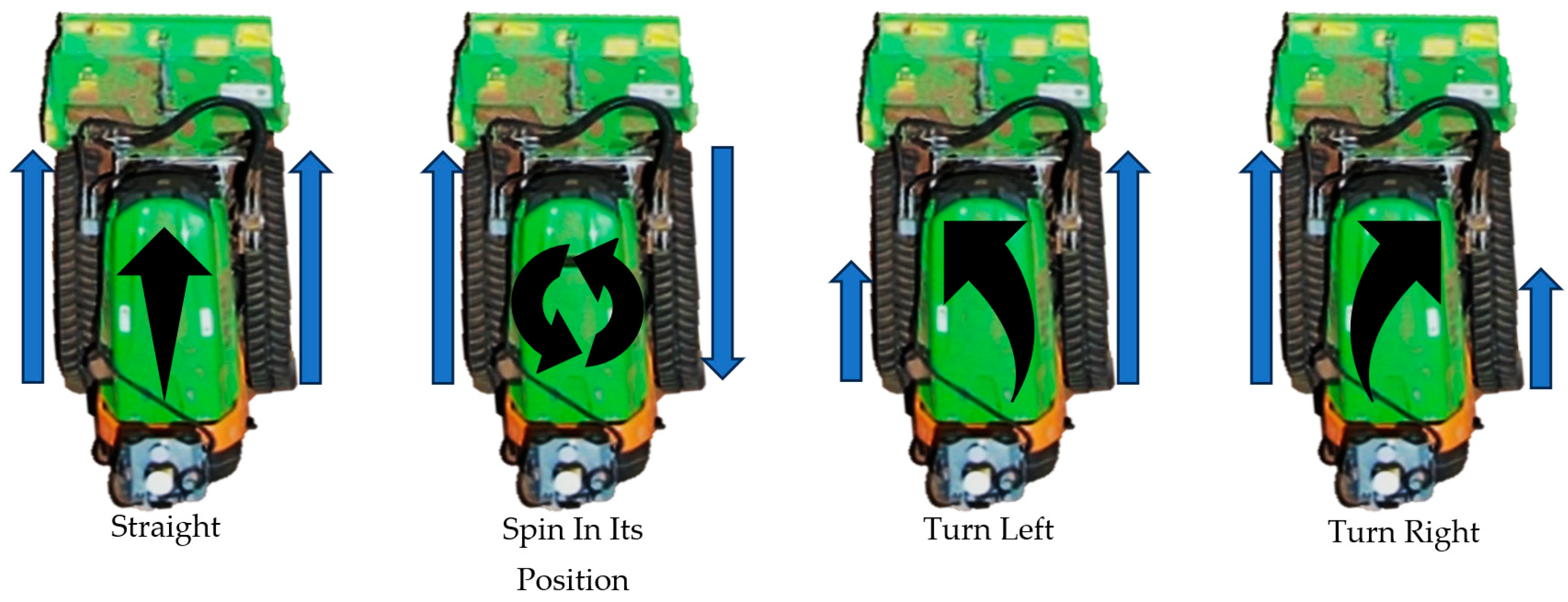 Forests 15 00381 g010
