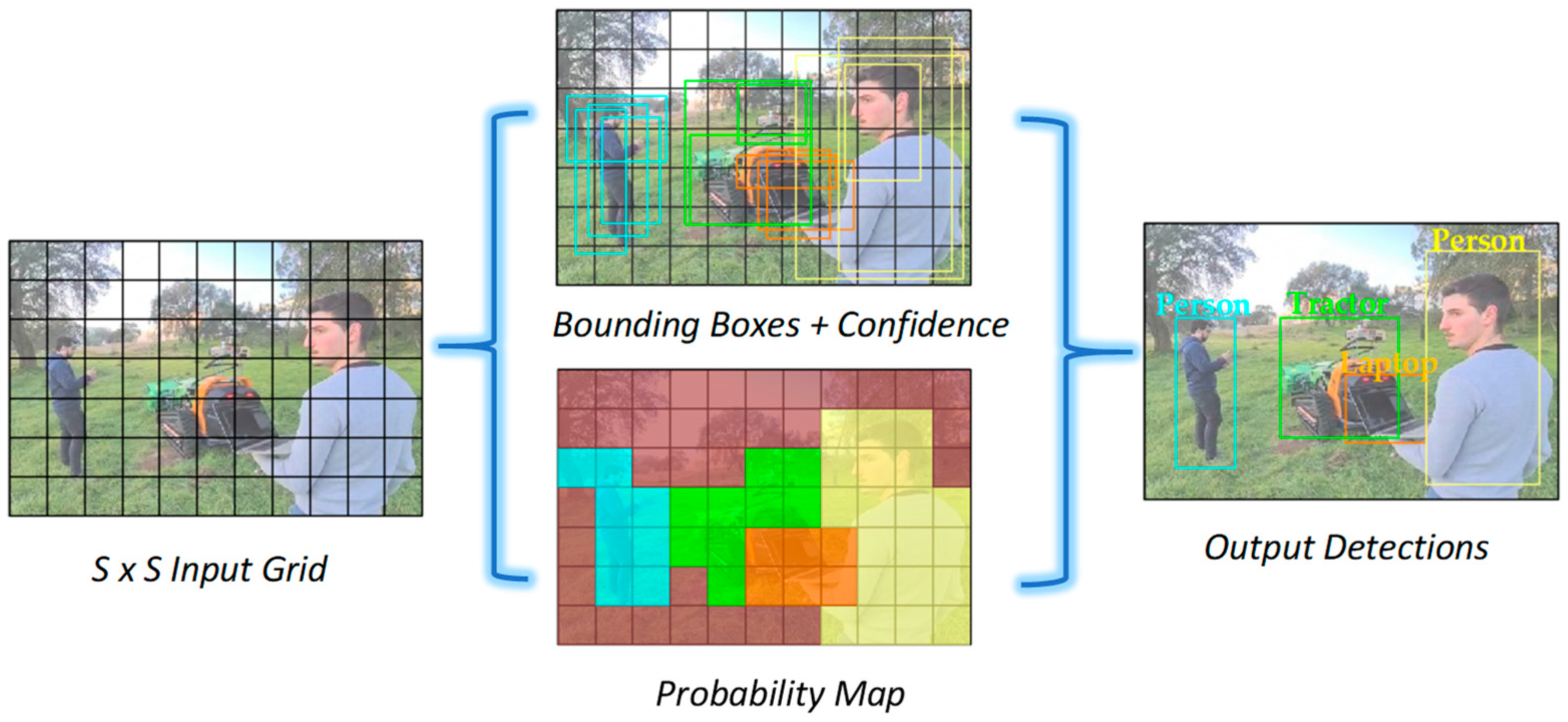 Forests 15 00381 g011