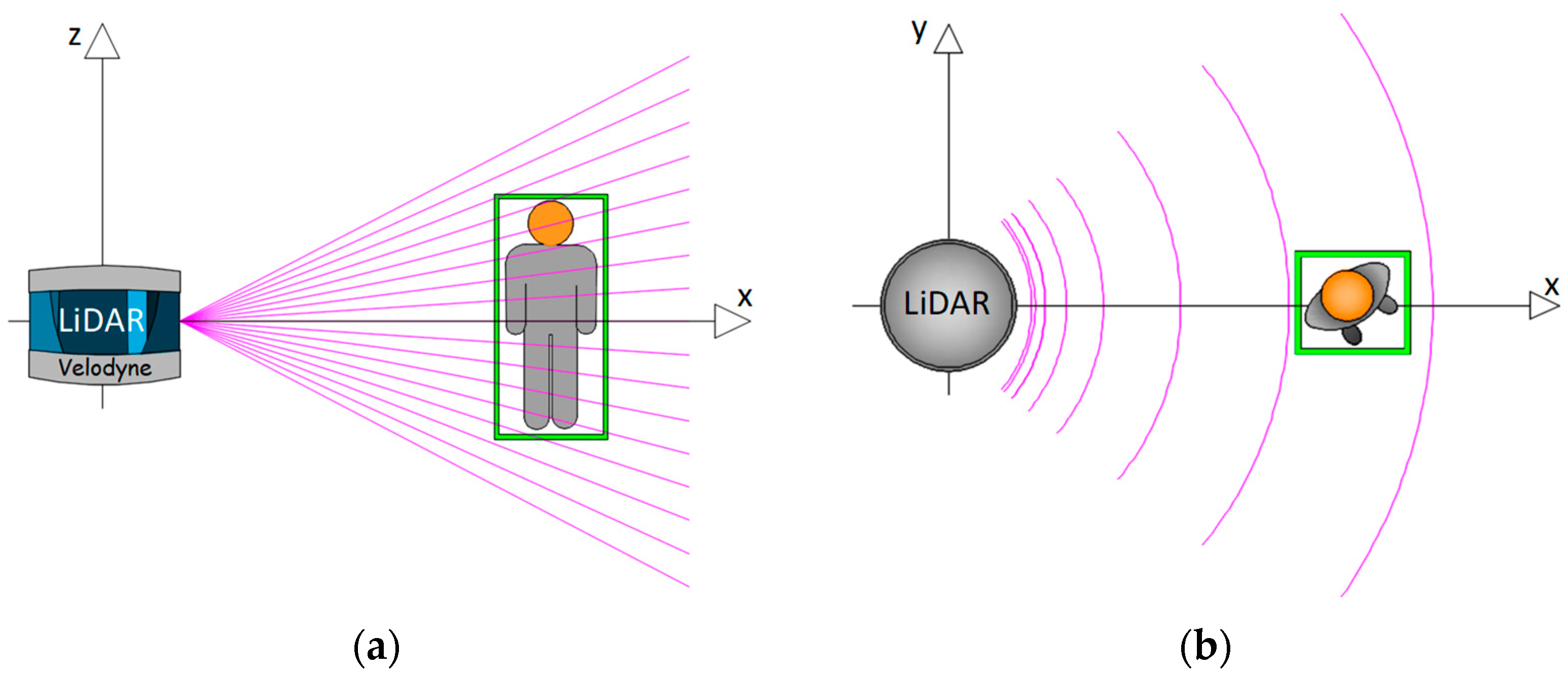 Forests 15 00381 g012