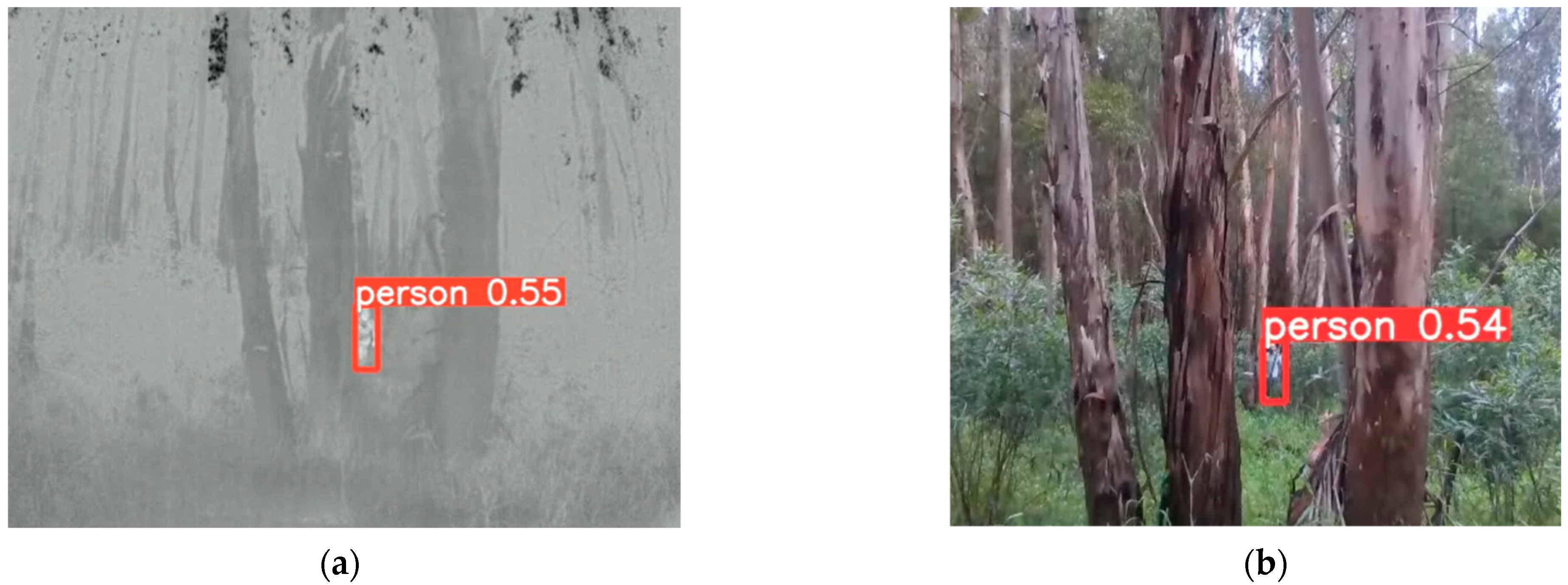 Forests 15 00381 g018