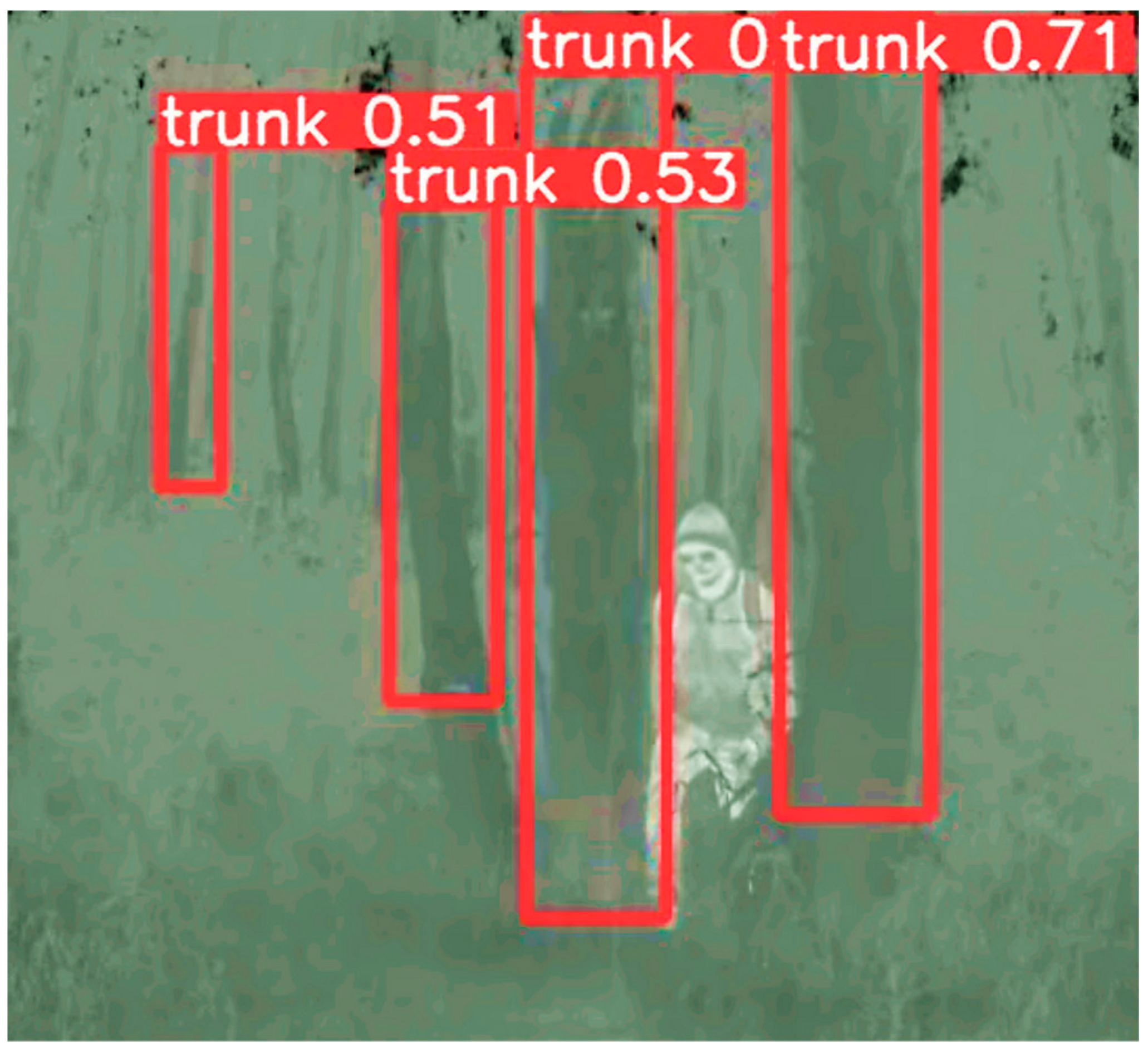 Forests 15 00381 g019