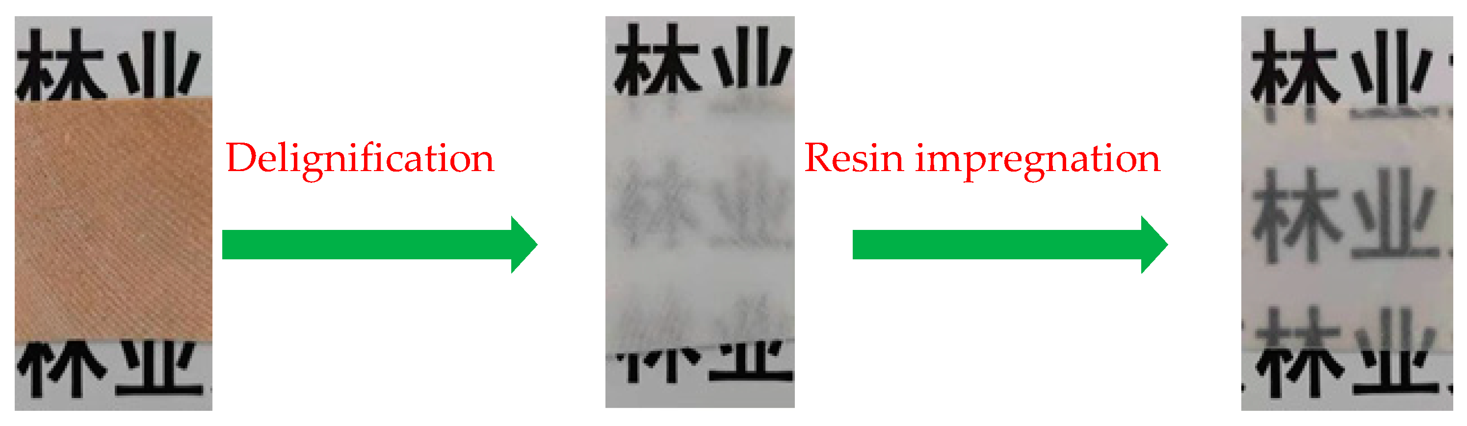 Forests 15 00384 g004