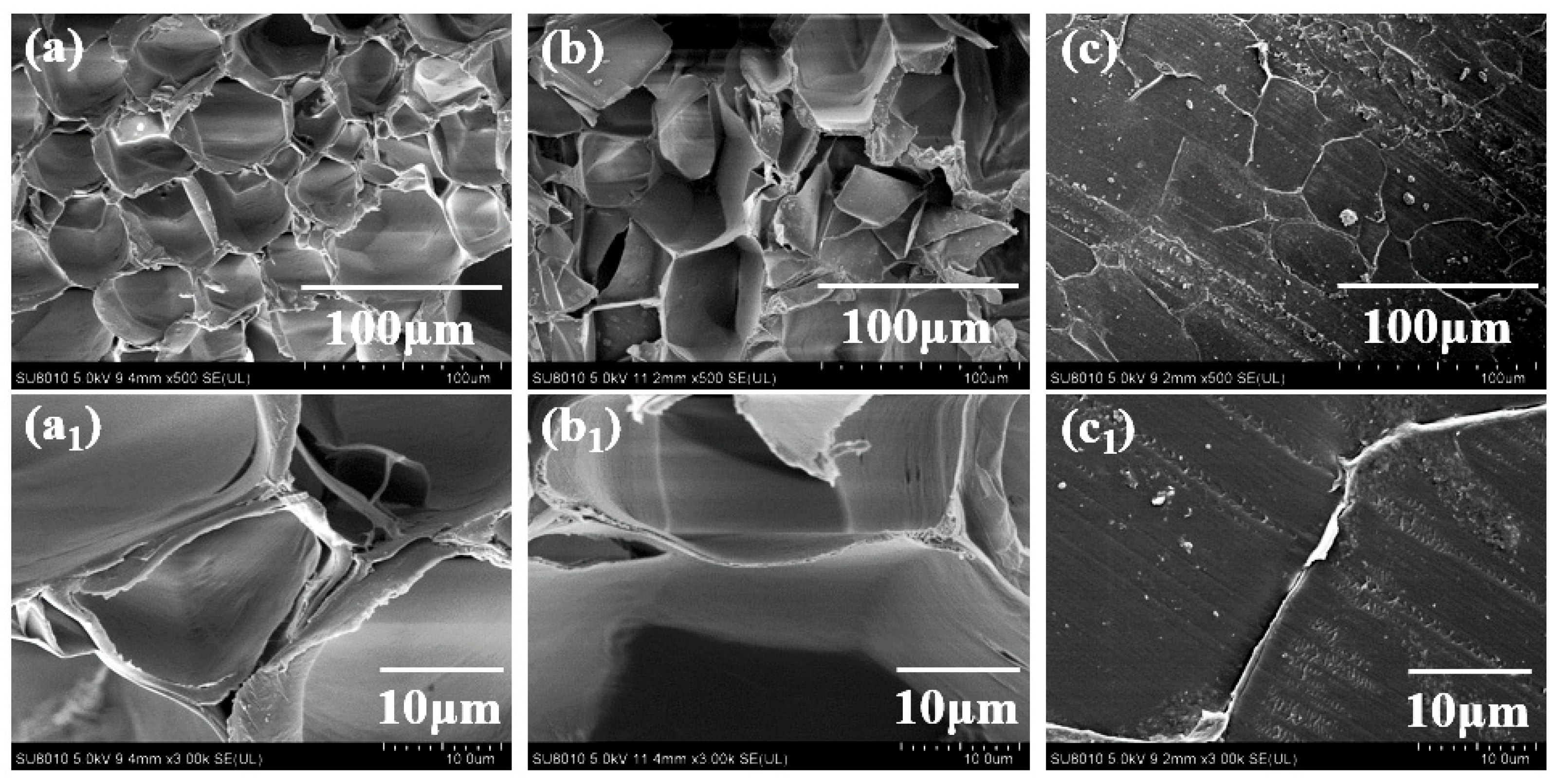 Forests 15 00384 g006