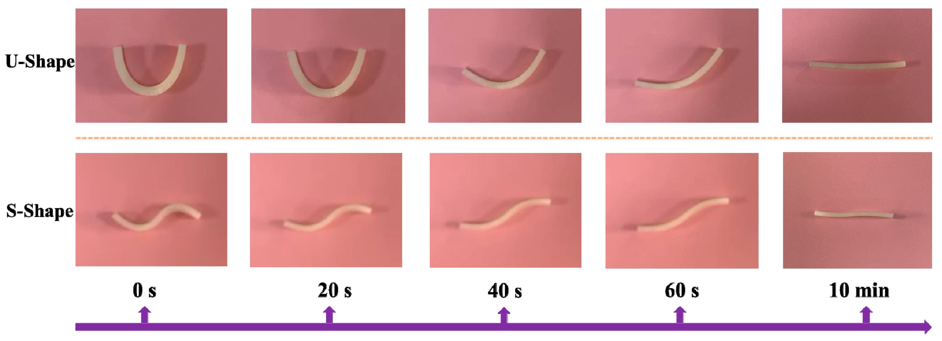 Forests 15 00384 g011