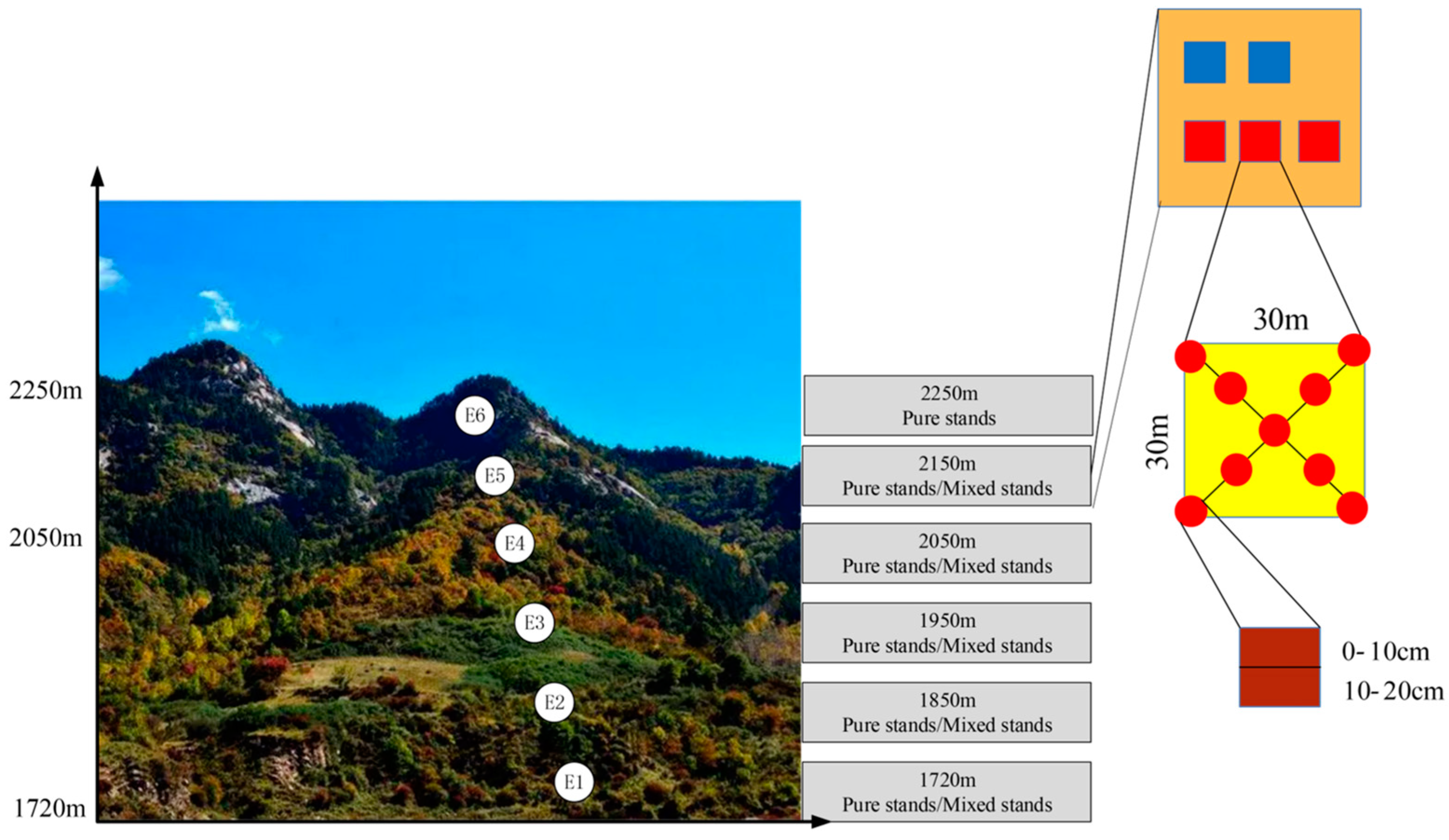 Forests 15 00392 g001