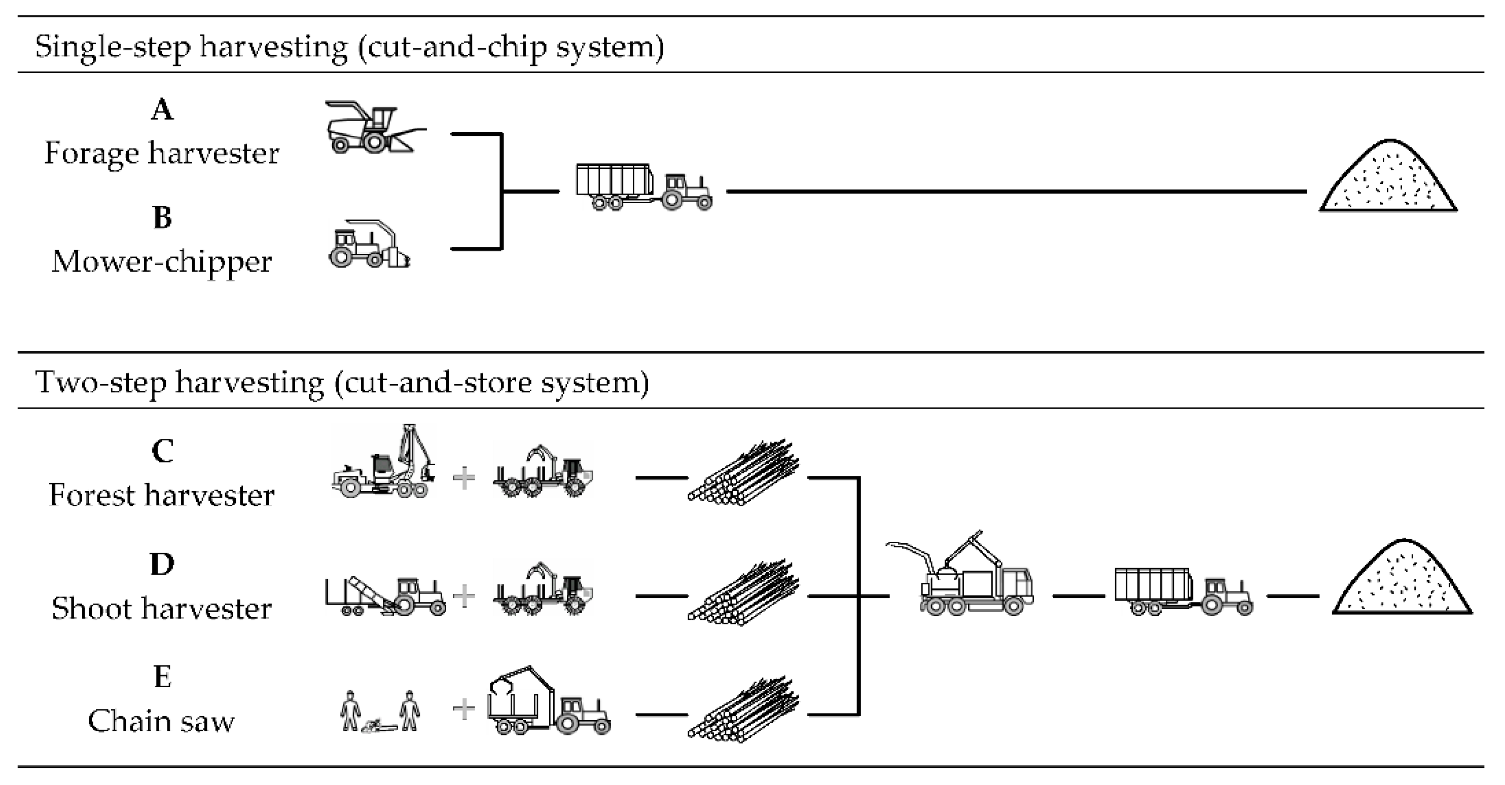 Forests 15 00397 g004 Forests 15 00397 g004
