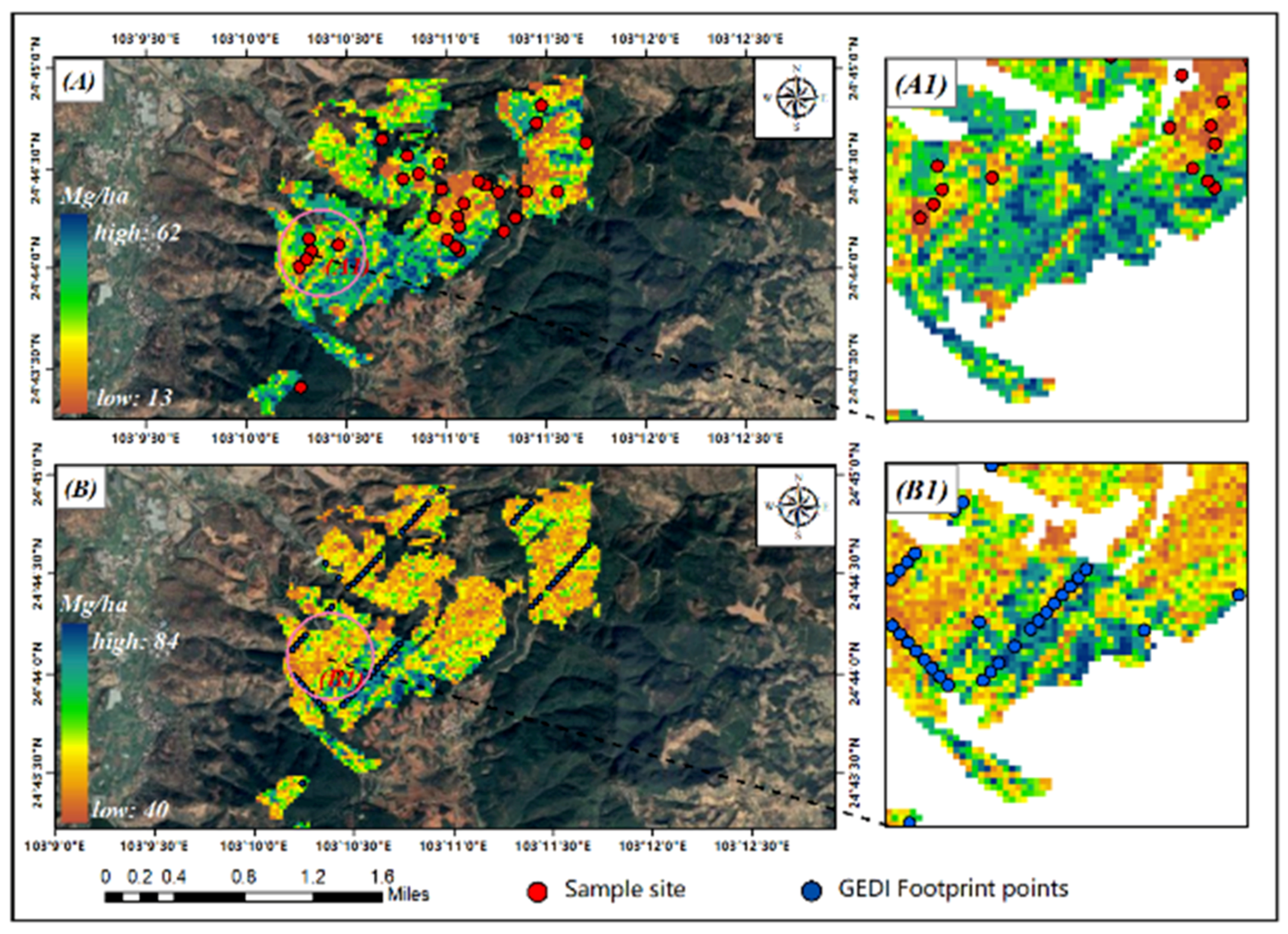 Forests 15 00401 g011a