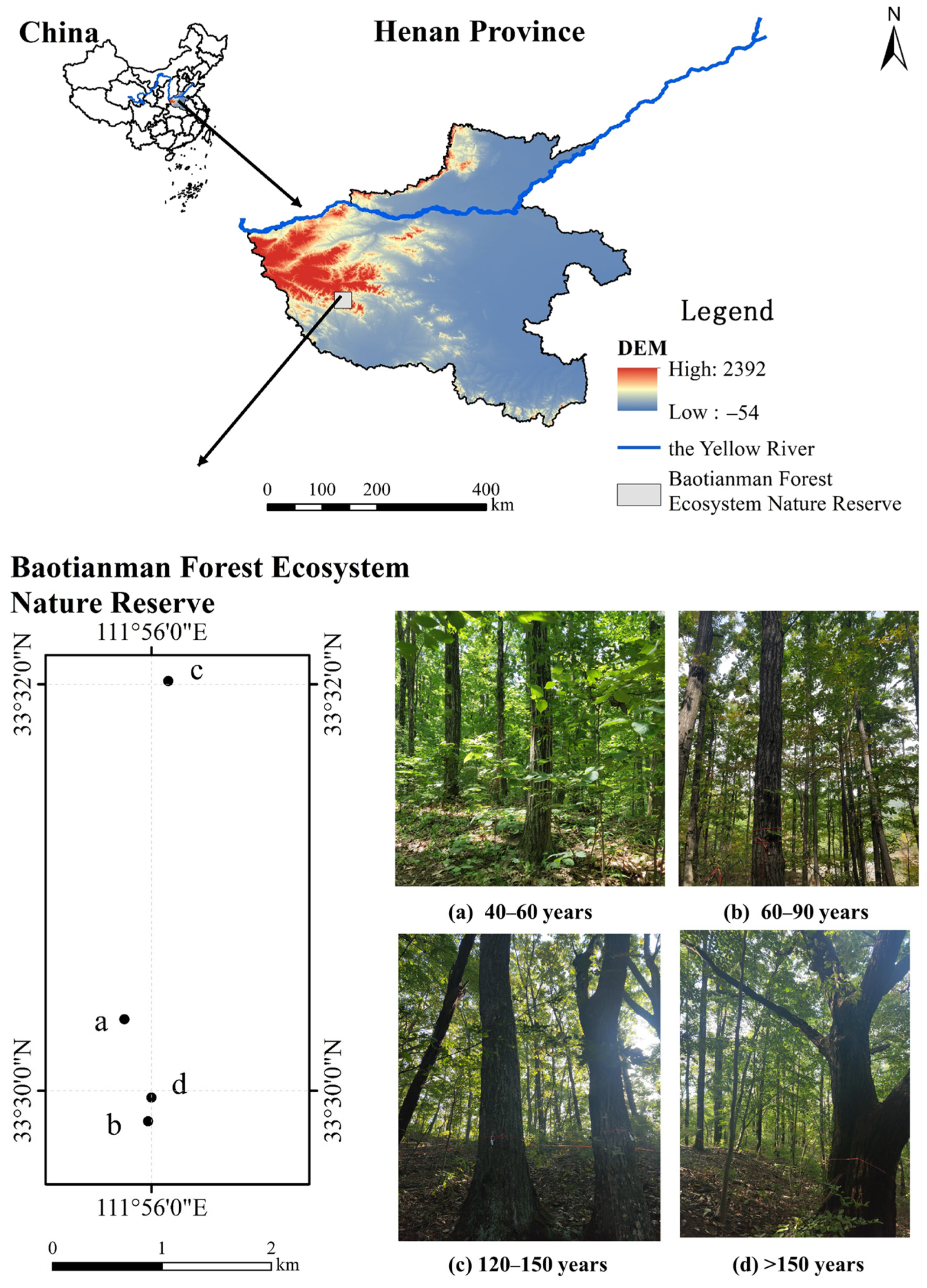 Forests 15 00402 g001