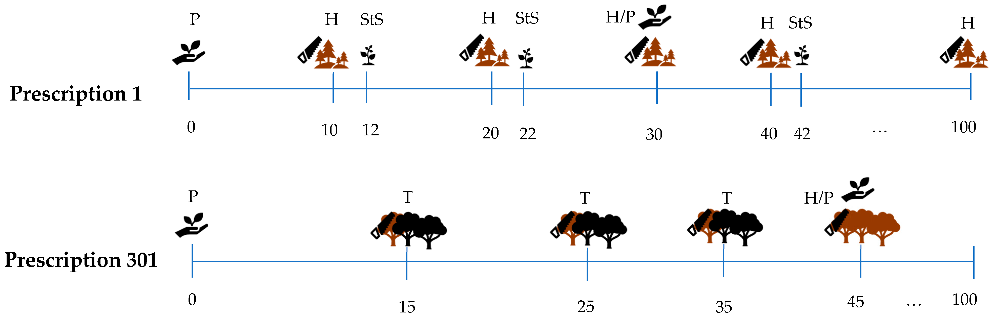 Forests 15 00408 g002