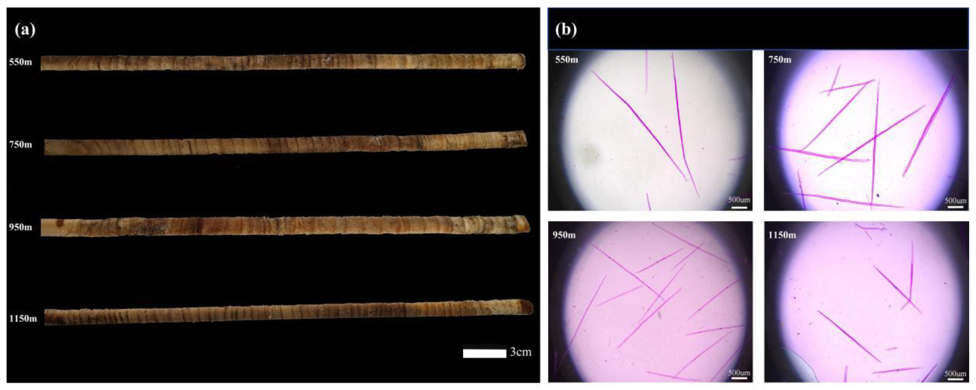 Forests 15 00411 g002 Forests 15 00411 g002