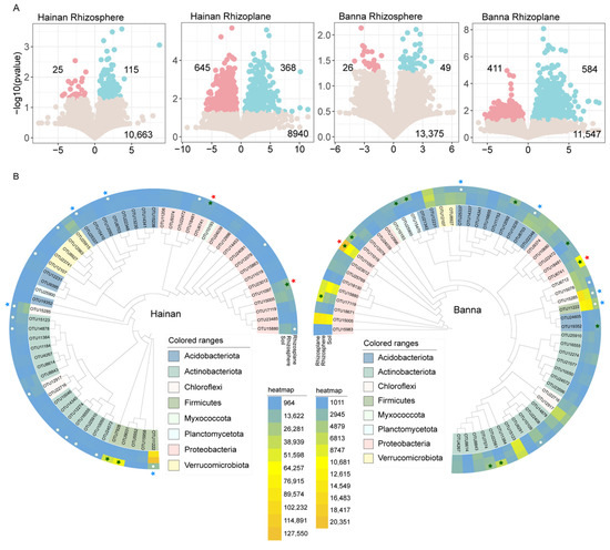 Geographical Differences Weaken the Convergence Effect of the