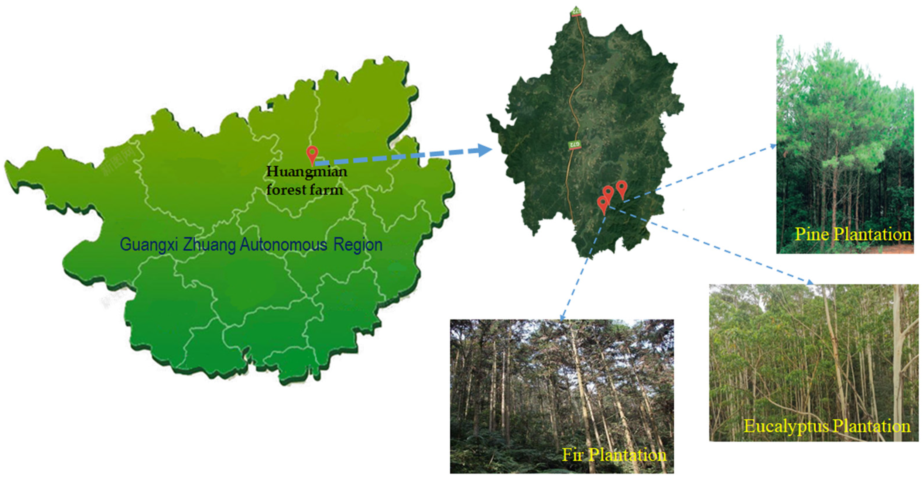 Forests 15 00423 g001